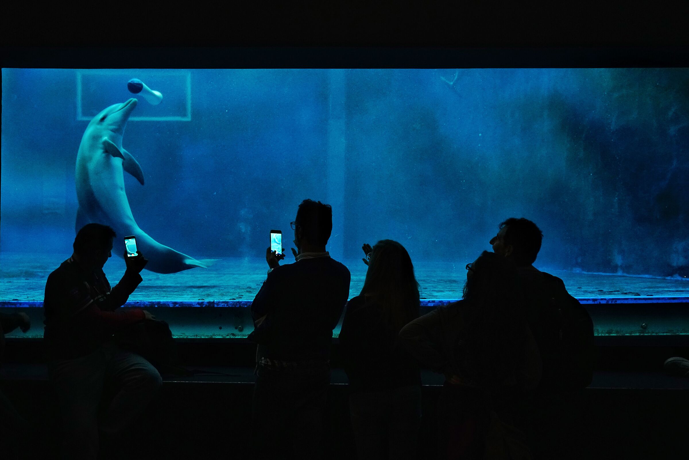 una finestra sul mare