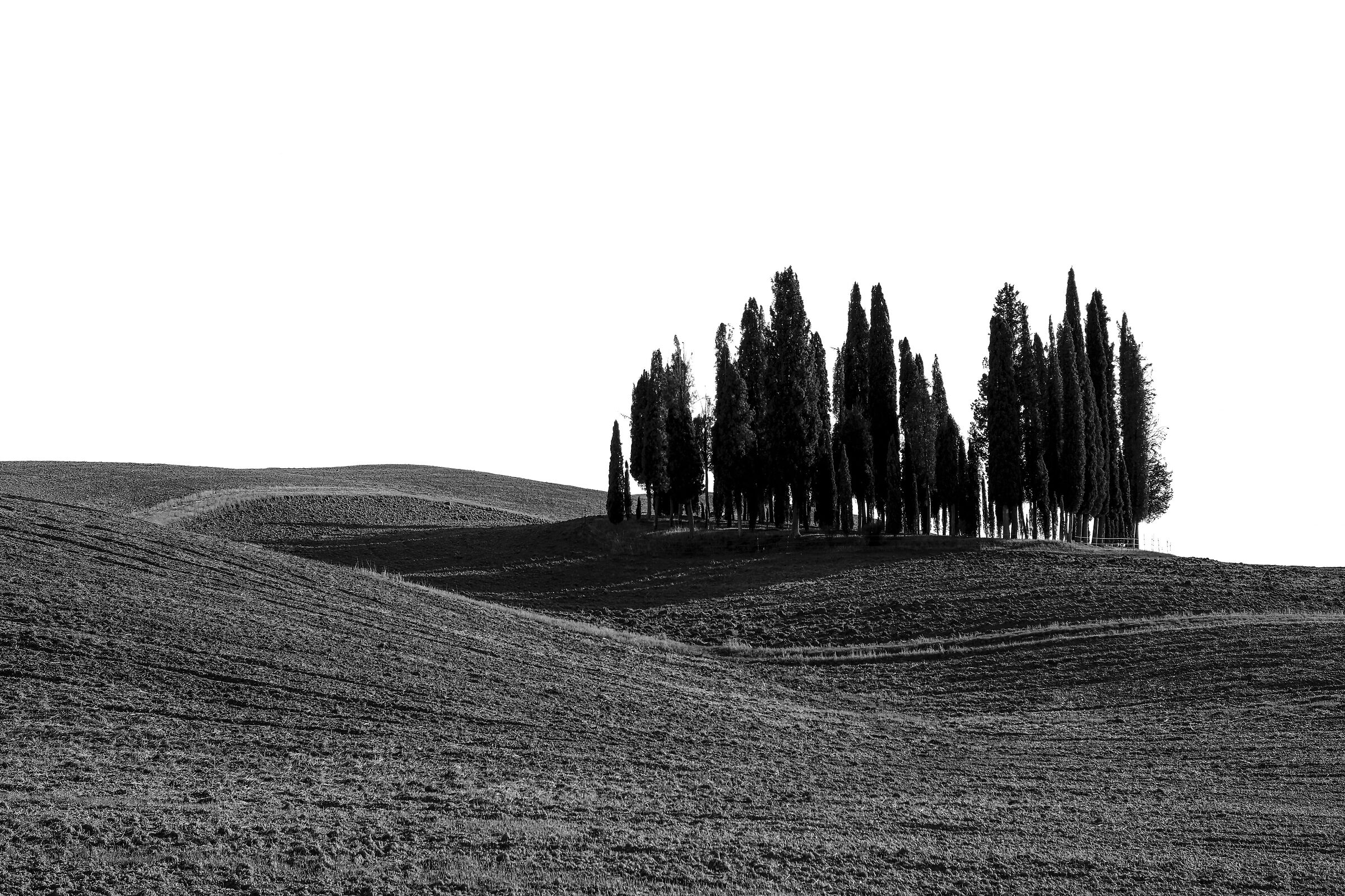 The Crete Senesi 3