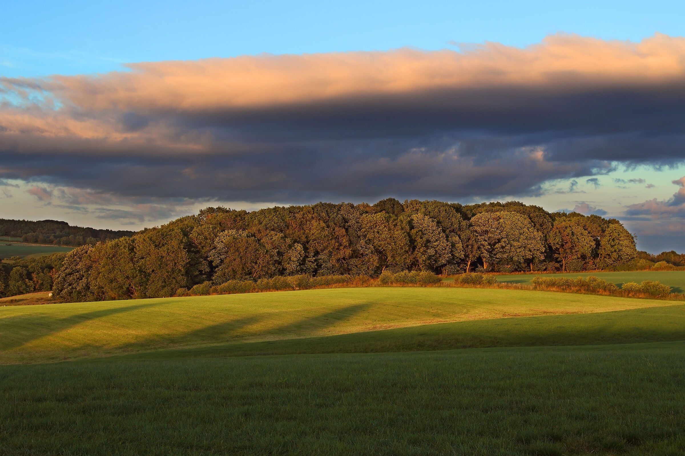 North Yorkshire Moors