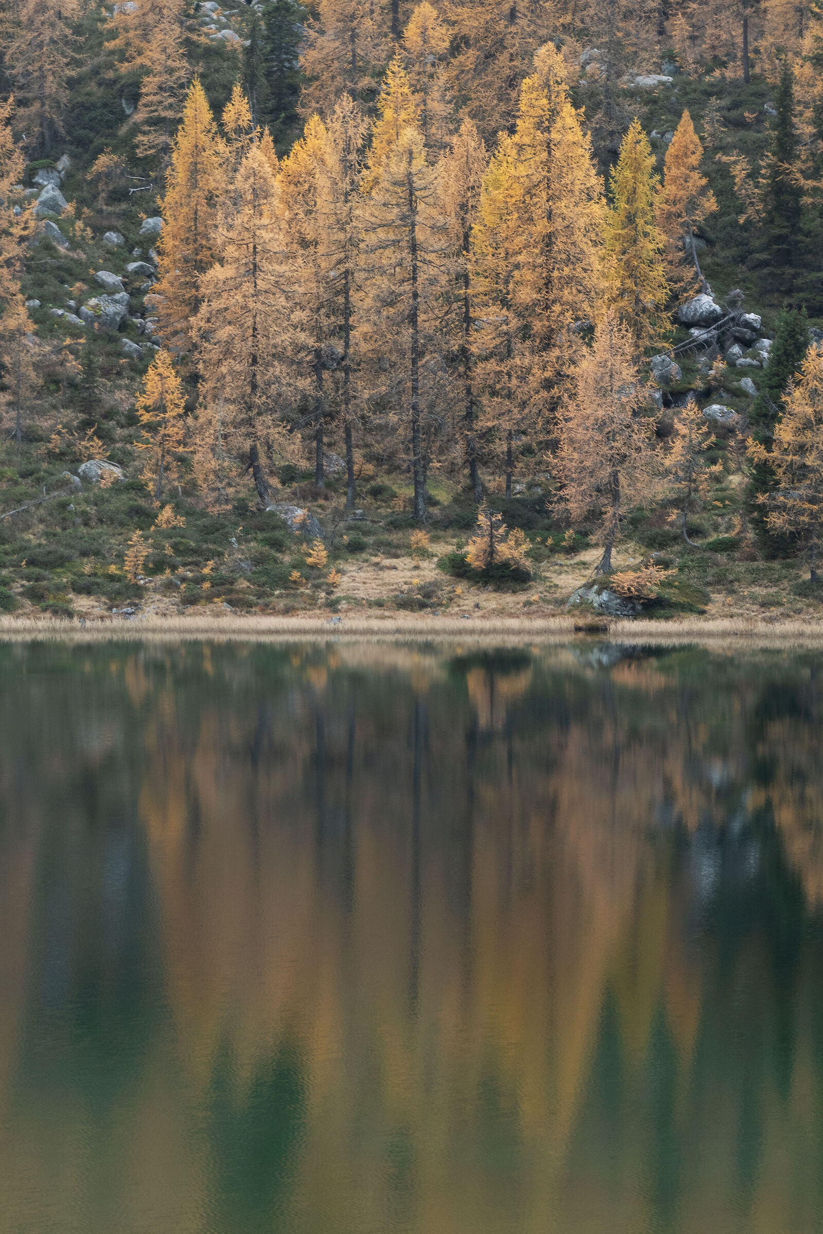 Riflessi d' autunno