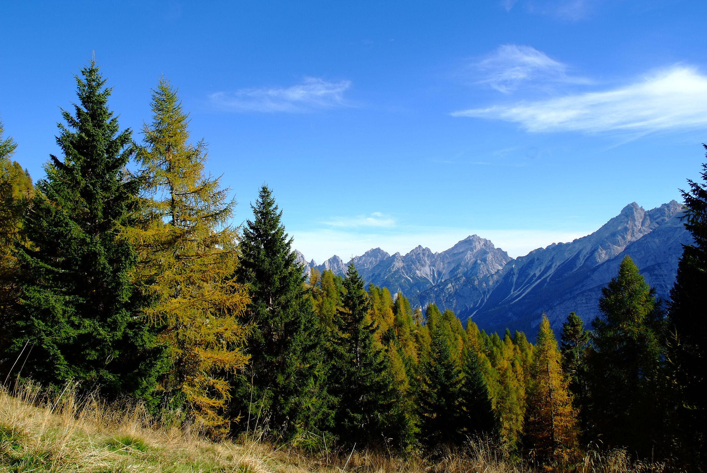 Untitled Photo