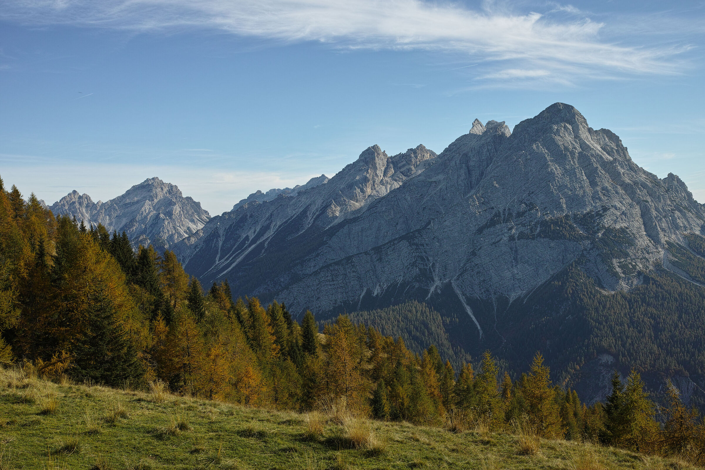 Untitled Photo