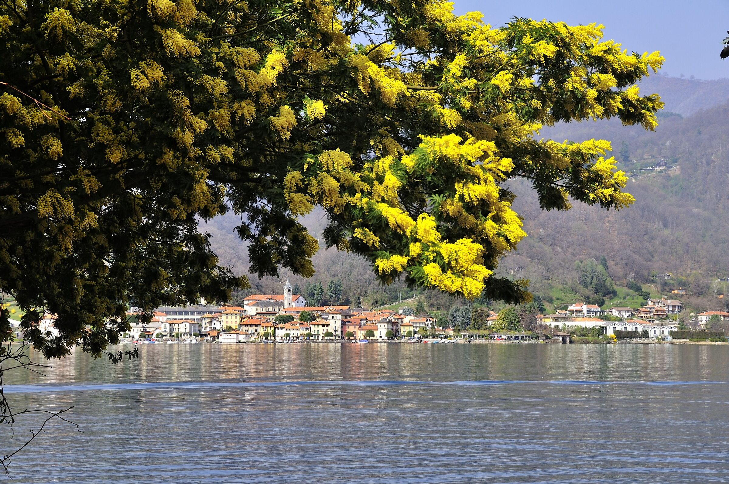 Lake Orta