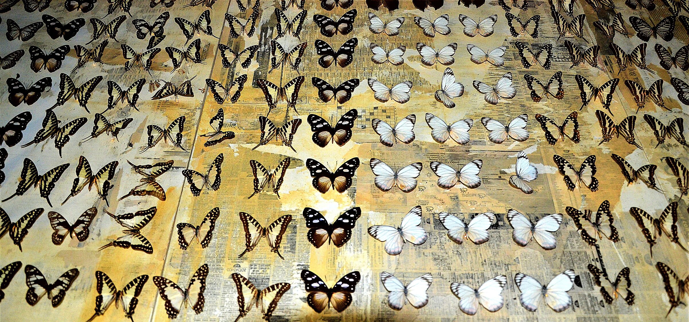 Barcelona, showcase on the Rambla