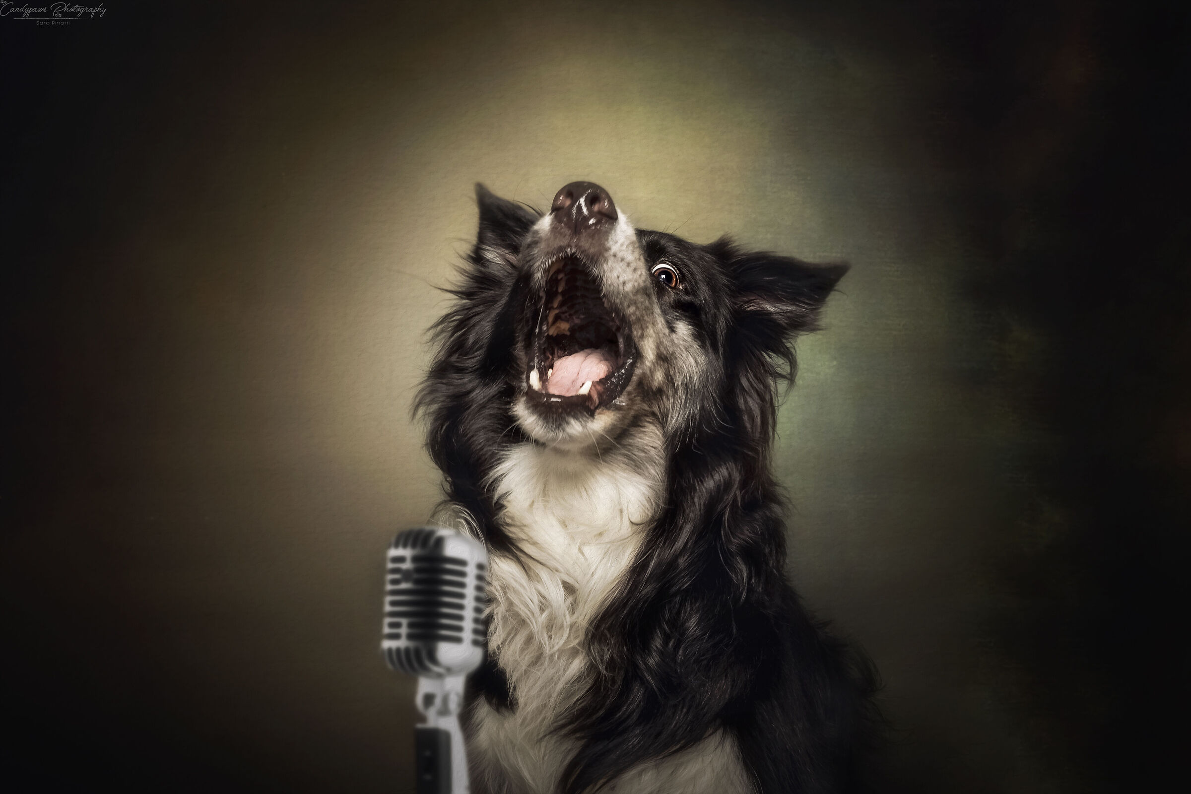 "Only aaaaaaauuuuhhh, can make this world seem right"