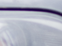 Purple Finding con d600 50 f1.8 100 iso croop 400%