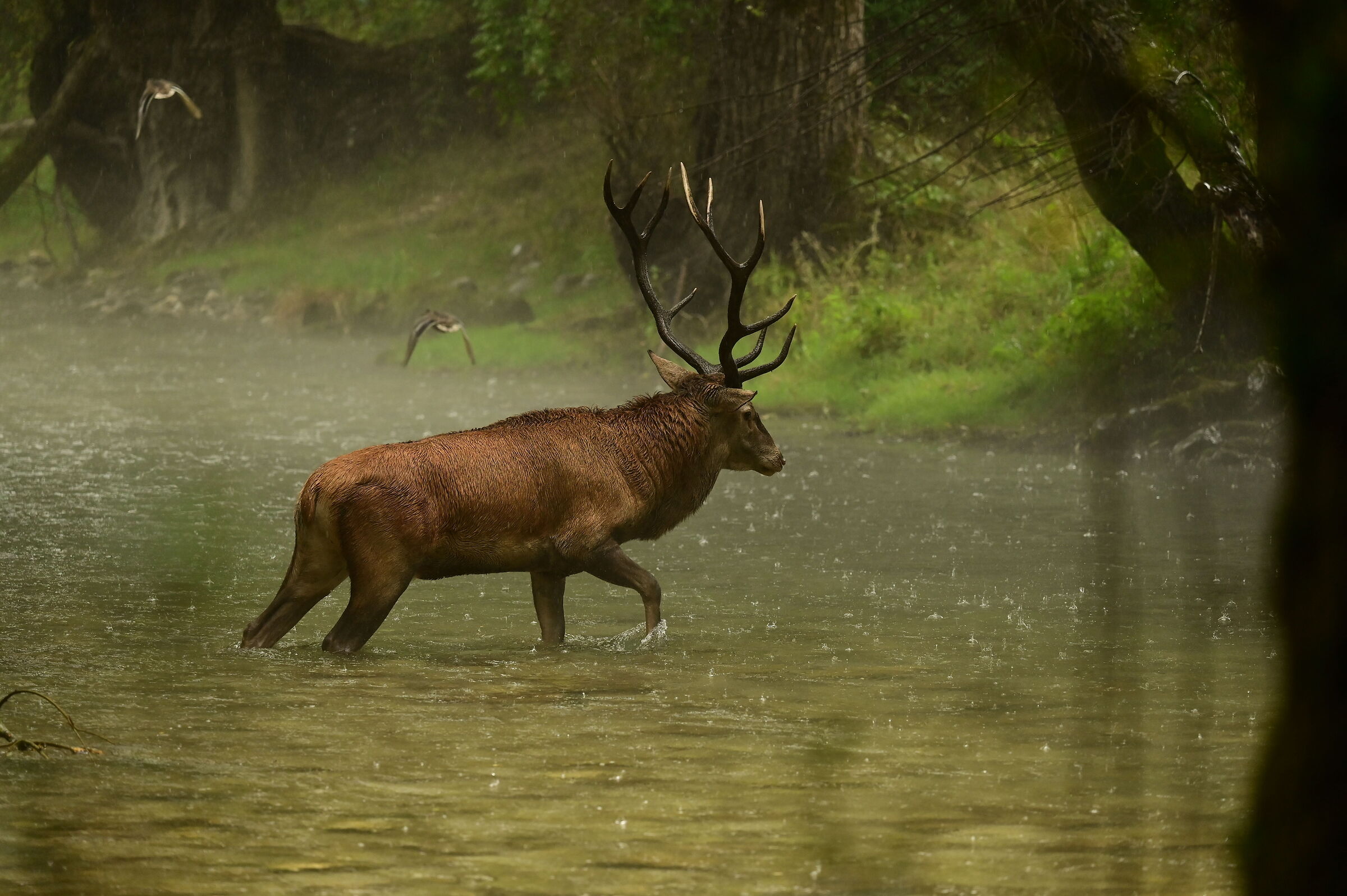 Raining... I'm going