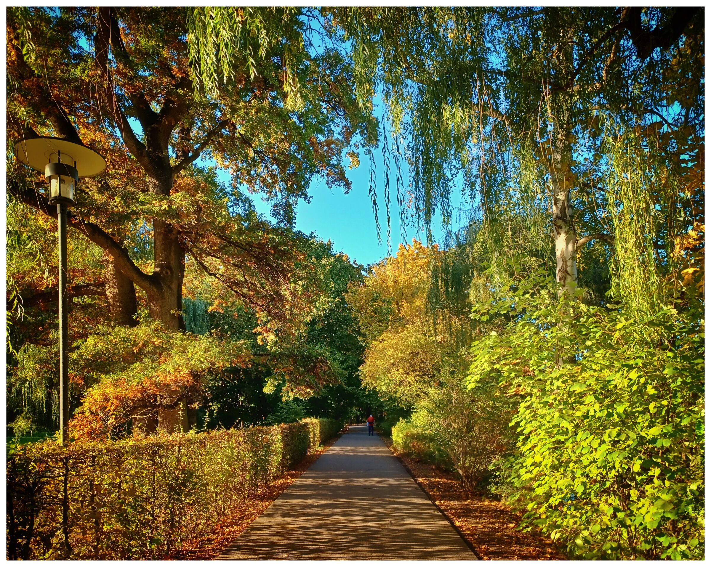 Al parco di Bad Nauheim