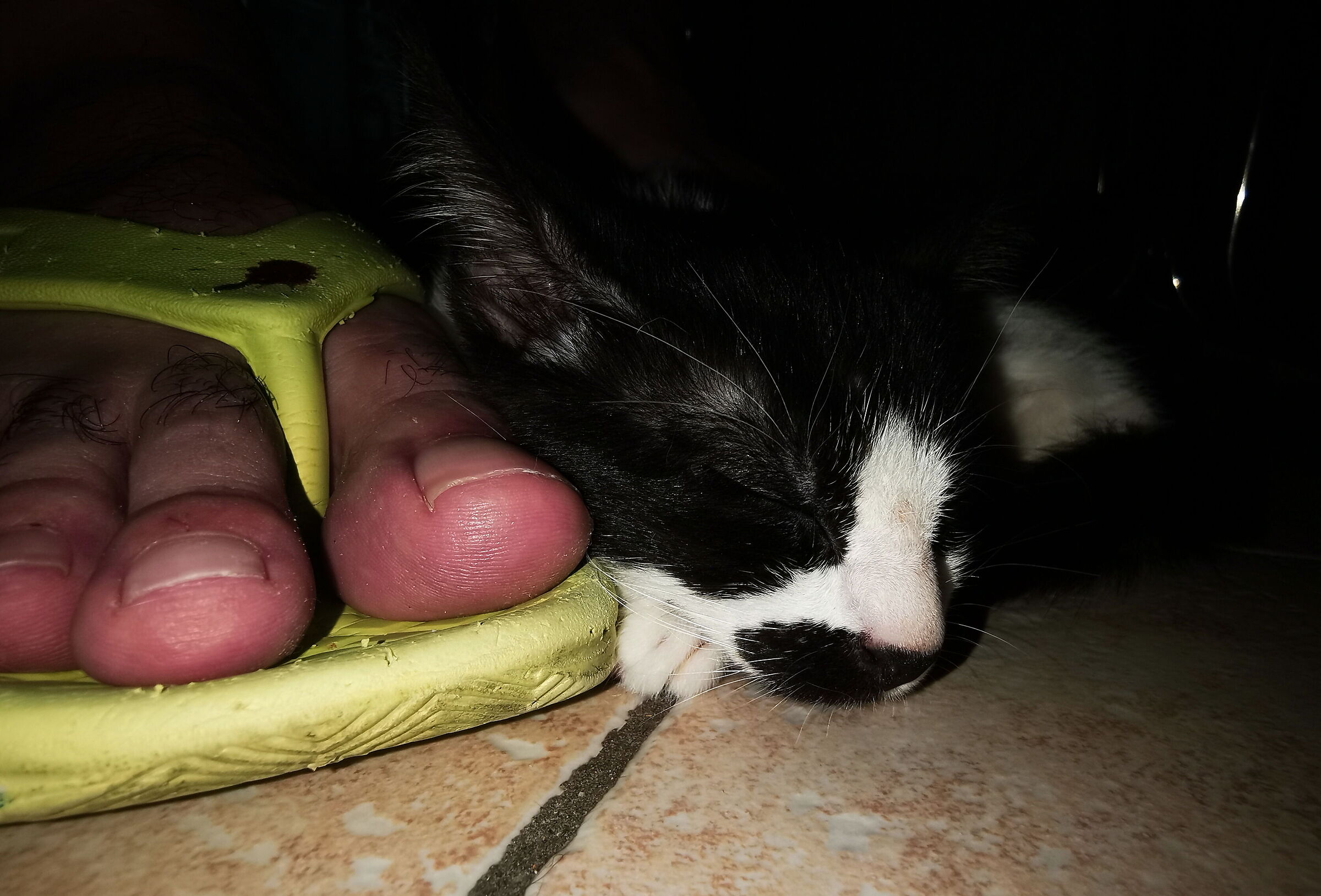 Voglio il tuo calore anche così