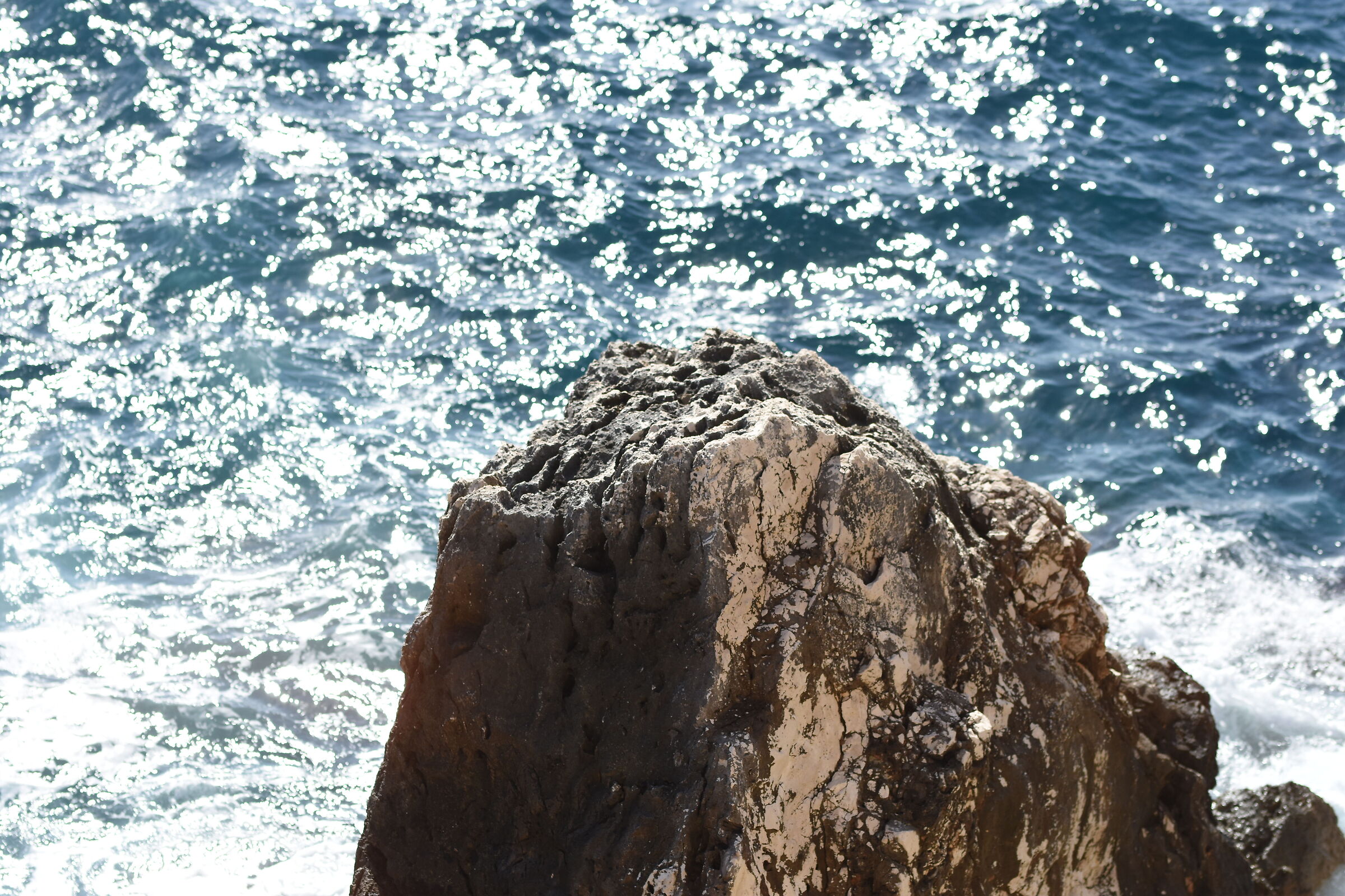 "F. 2.4", 1/8.0 0 0, ISO 250- Sigma 85, 1.4 Art