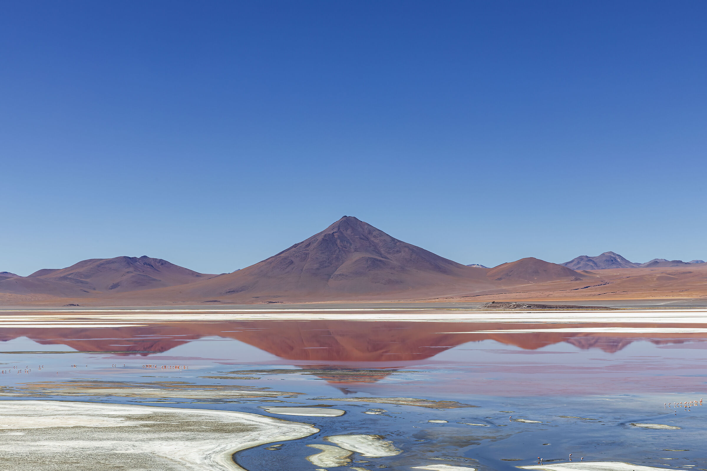 Laguna Colorada