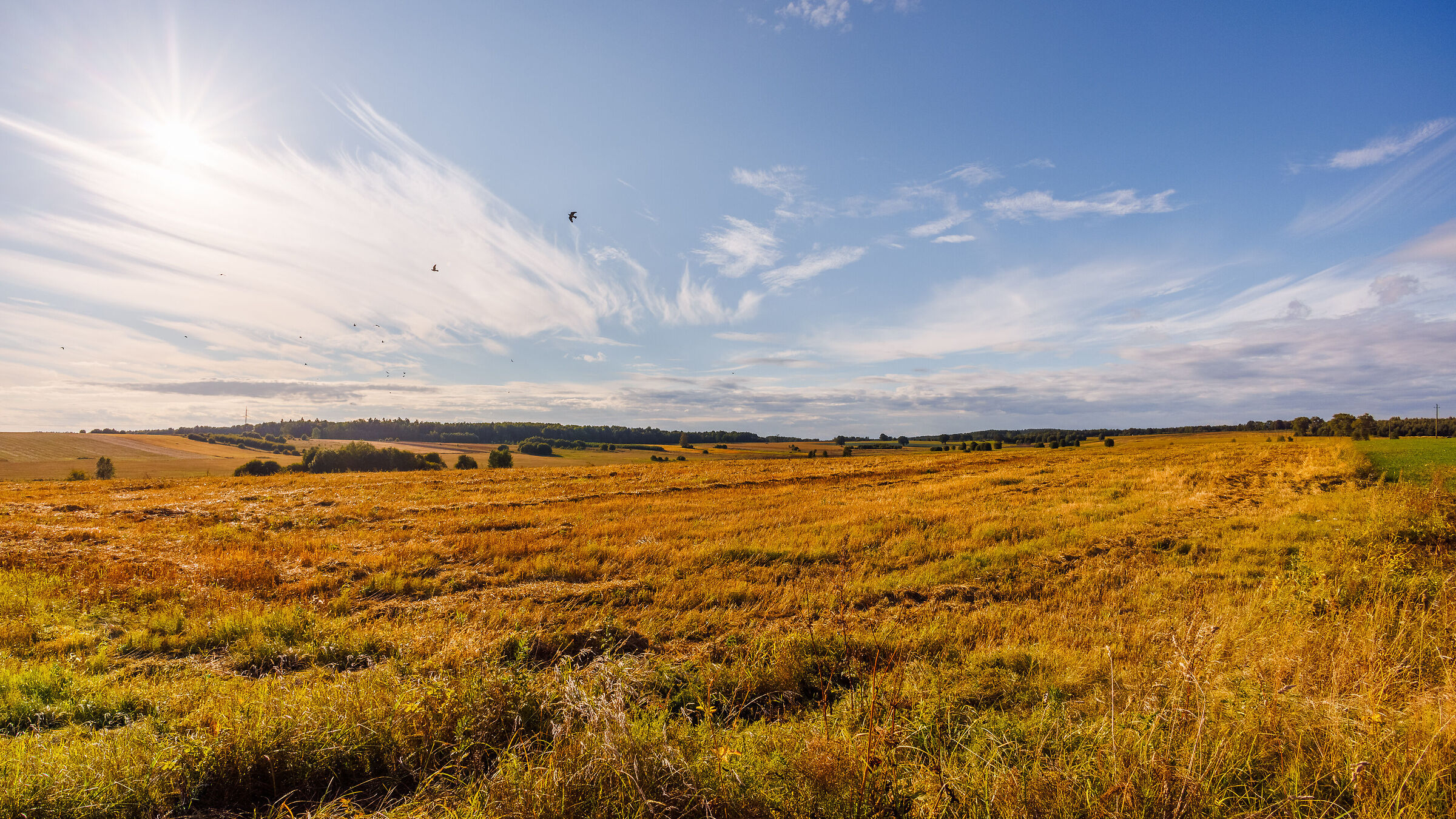 September Ultra Wide