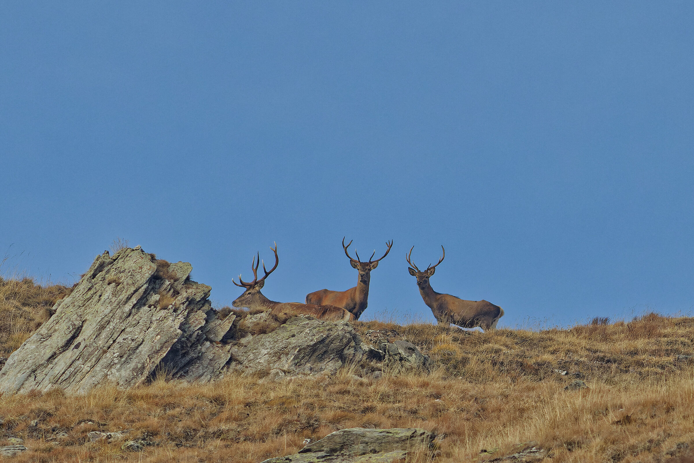 Gli esclusi - Alta Val Susa