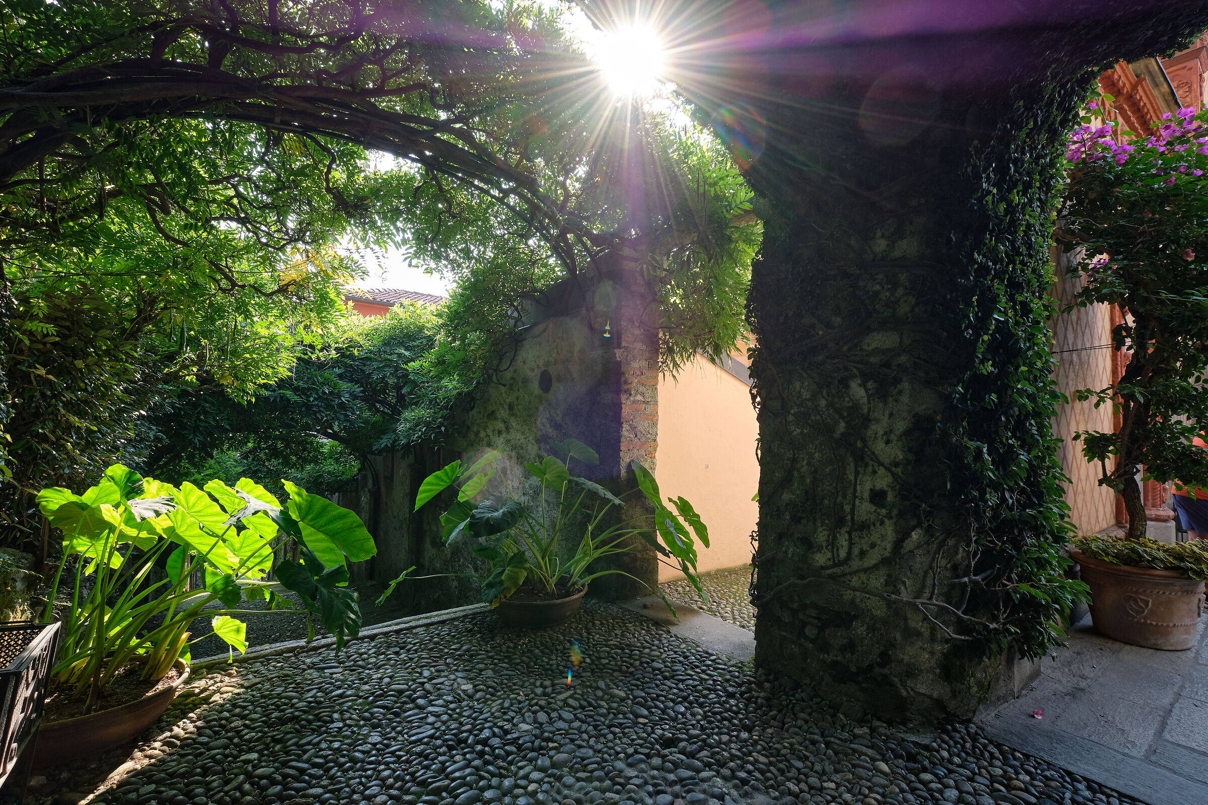 Piedmont (Fuji 10-24 test at 10mm)