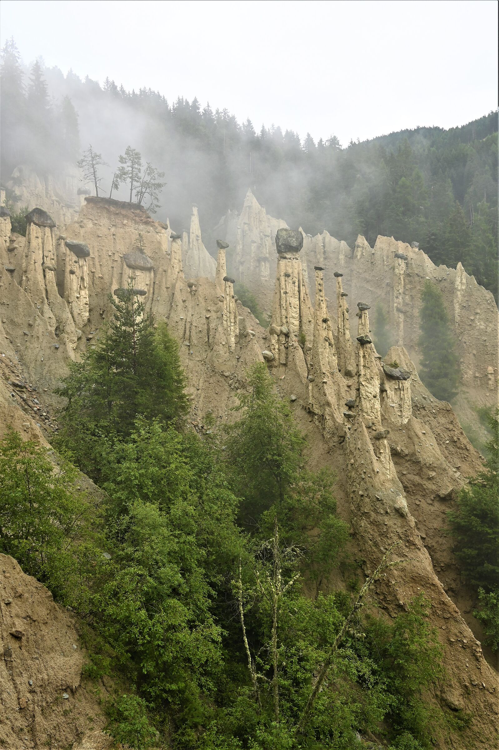 ---- the weather is changing ----