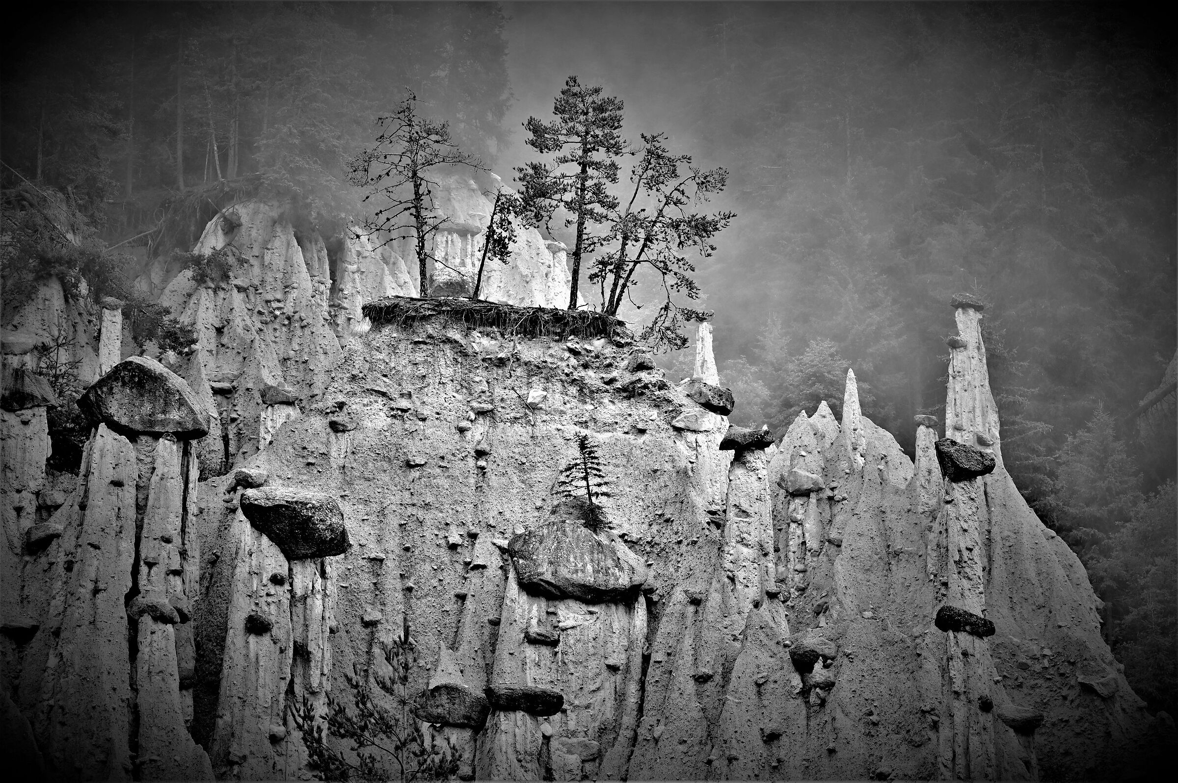 .... playing in black and white ....