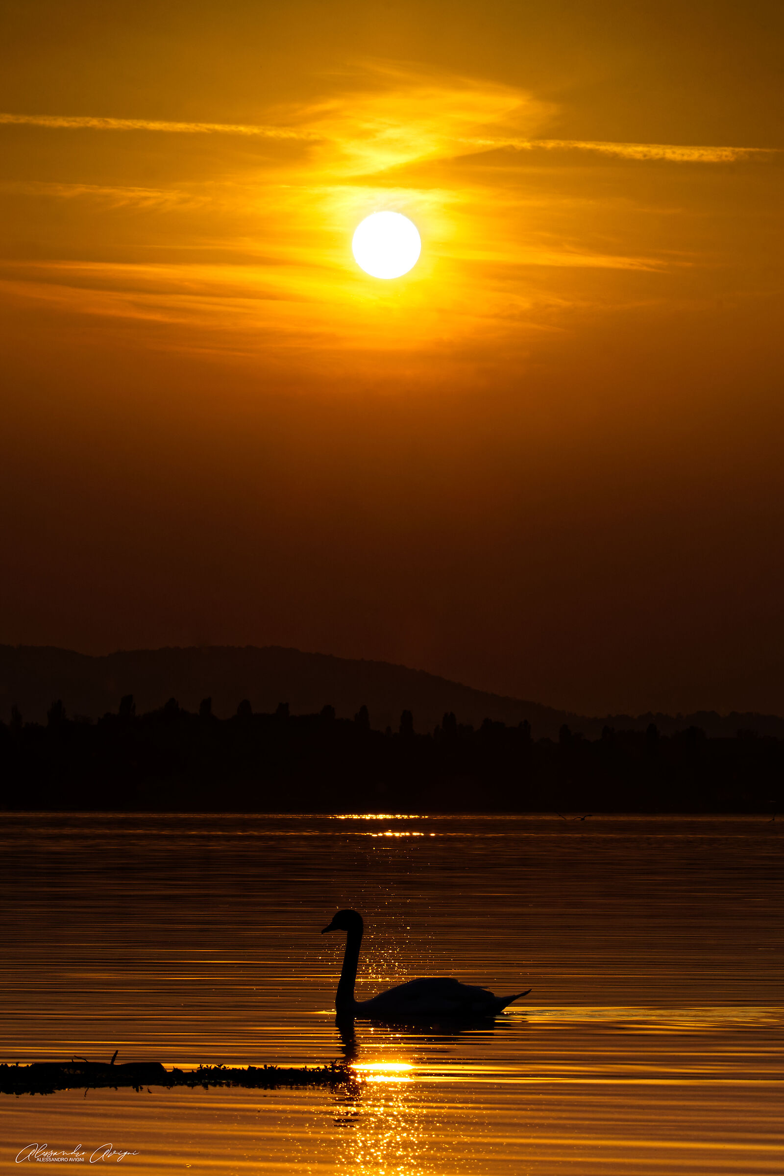 Lago di Varese