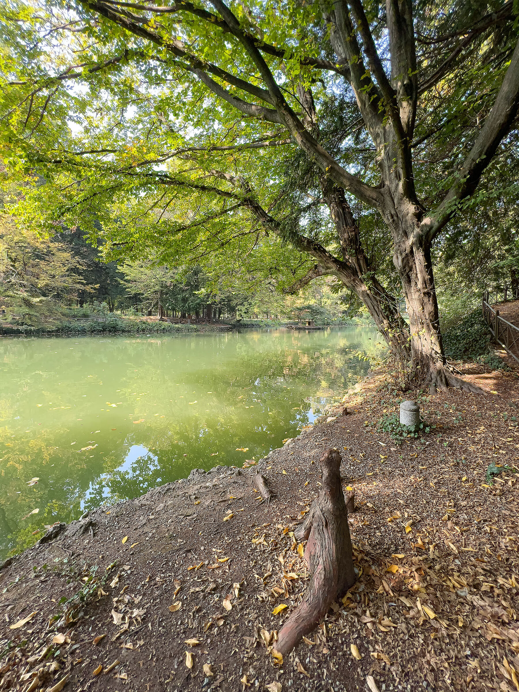 Monza Park
