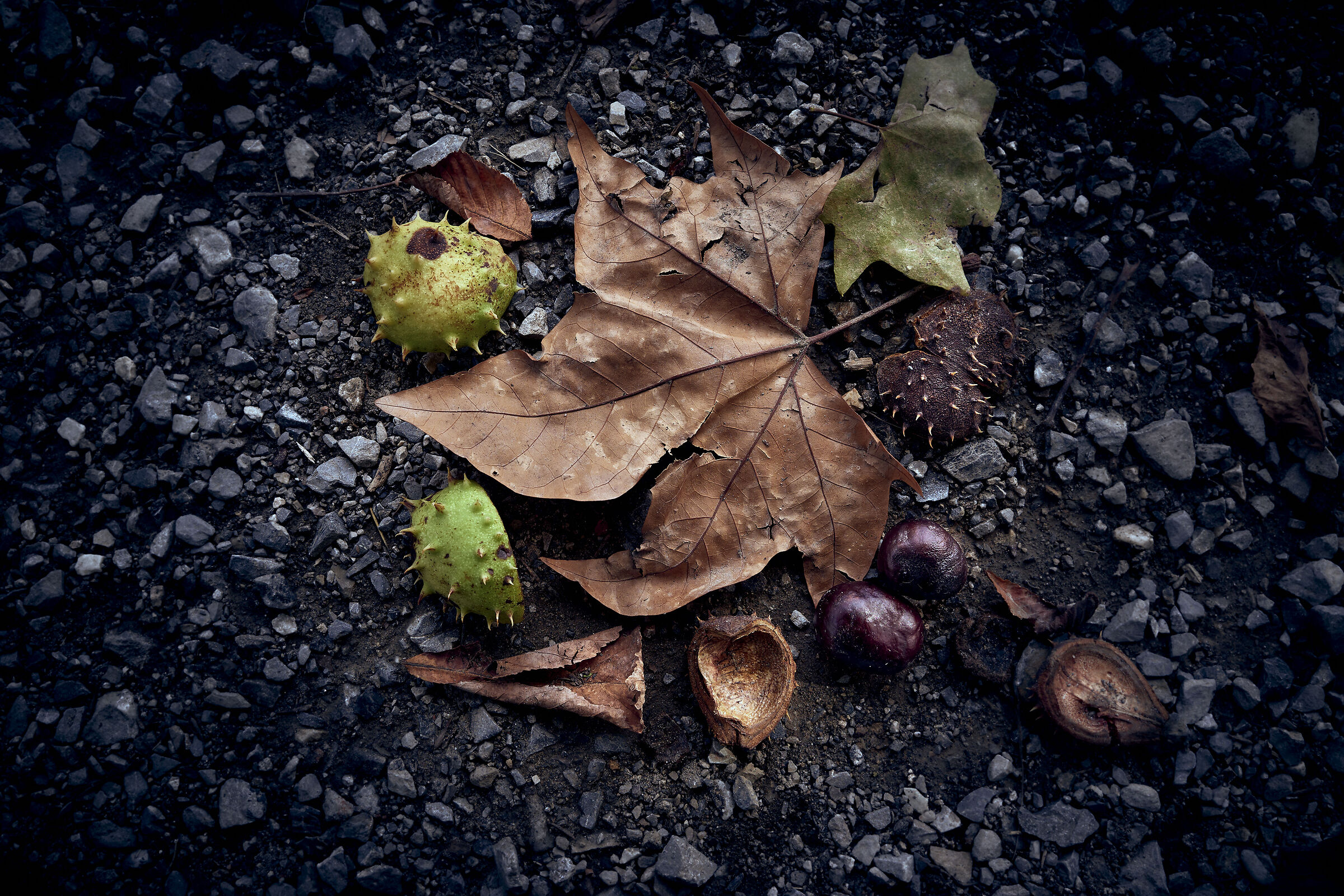 Finalmente l'autunno