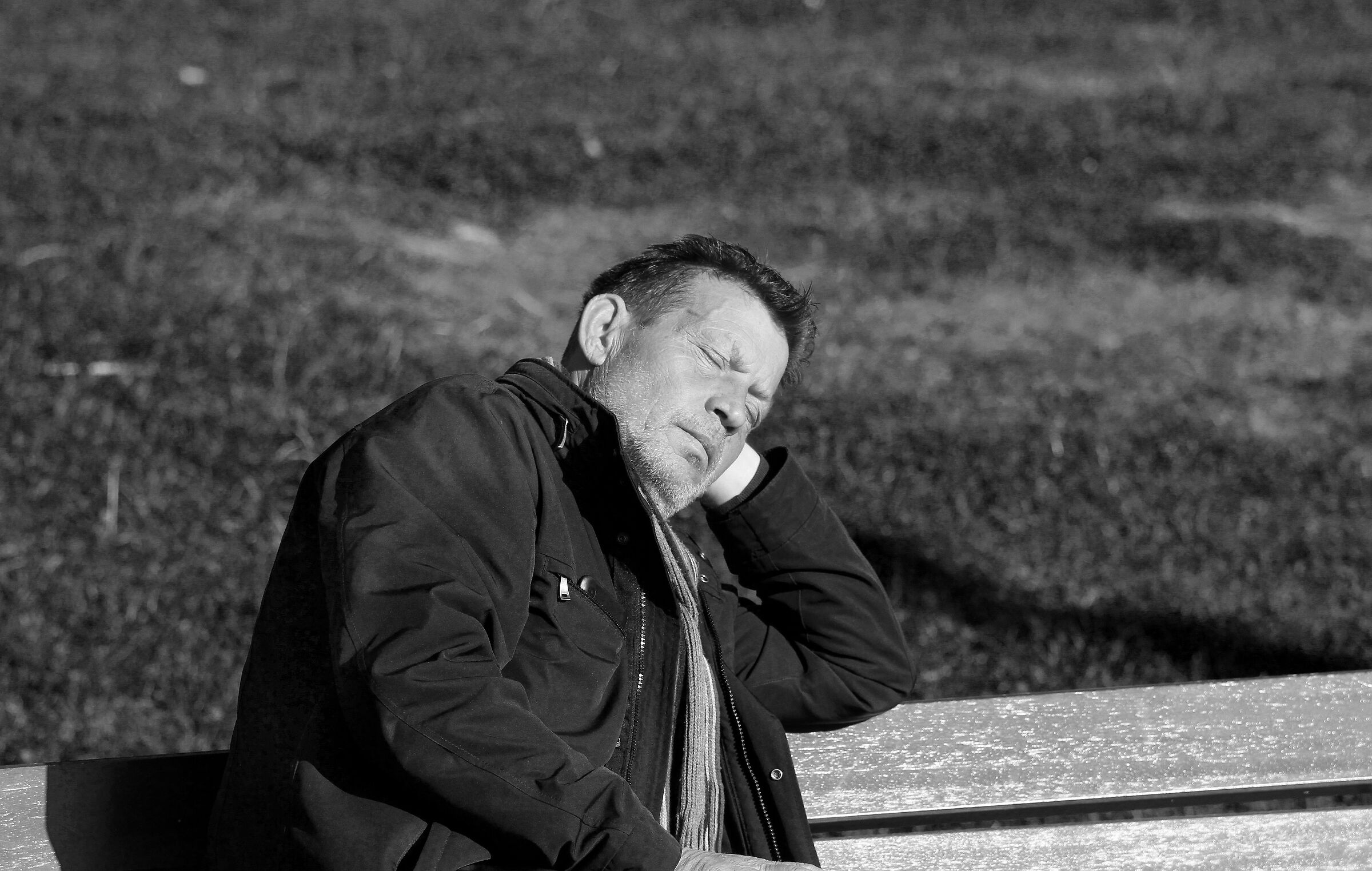 sogni sotto il sole.