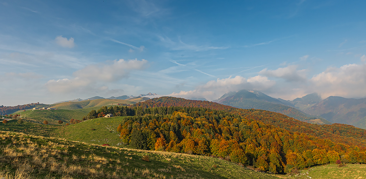 Lessinia