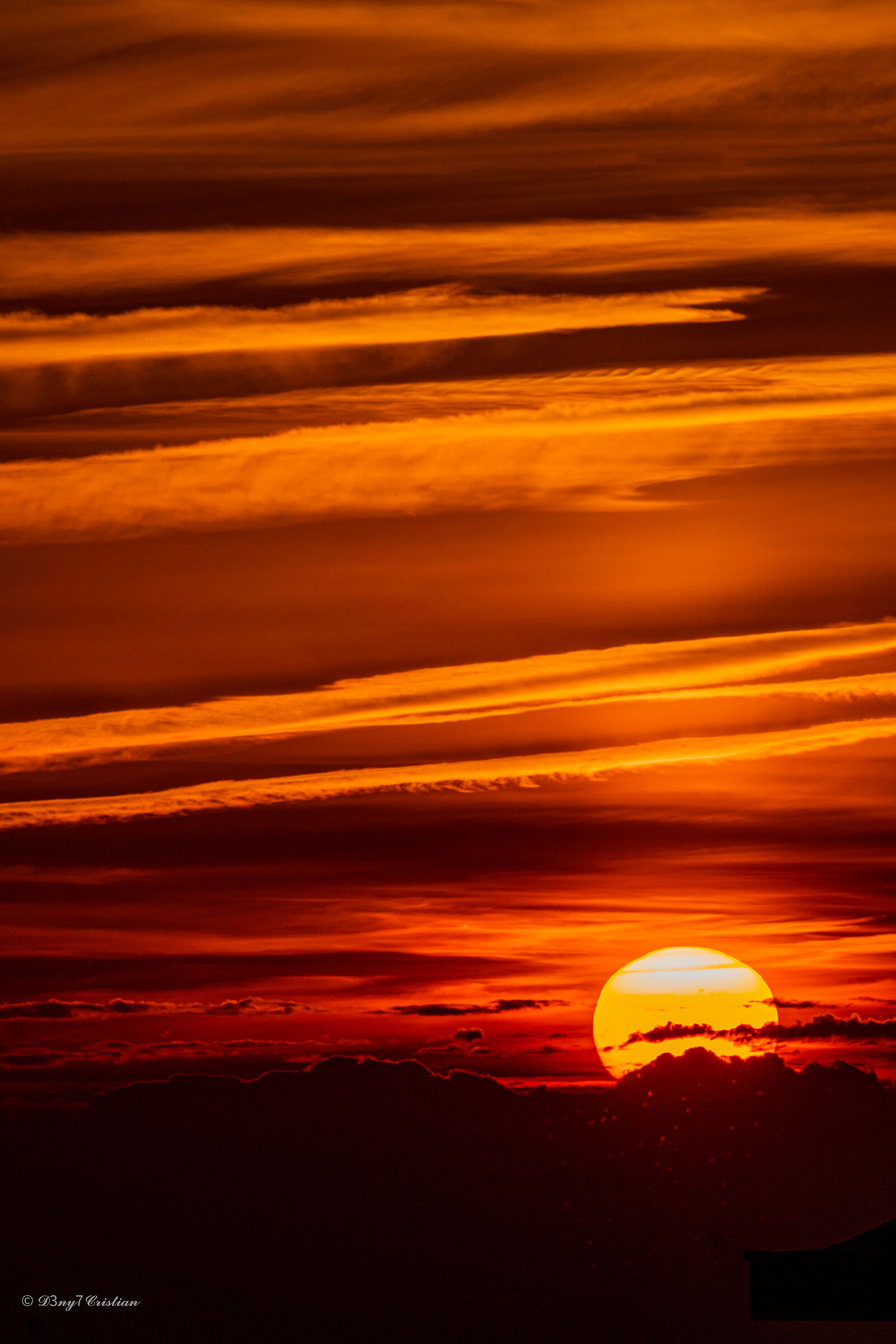 New Beginning, New Day