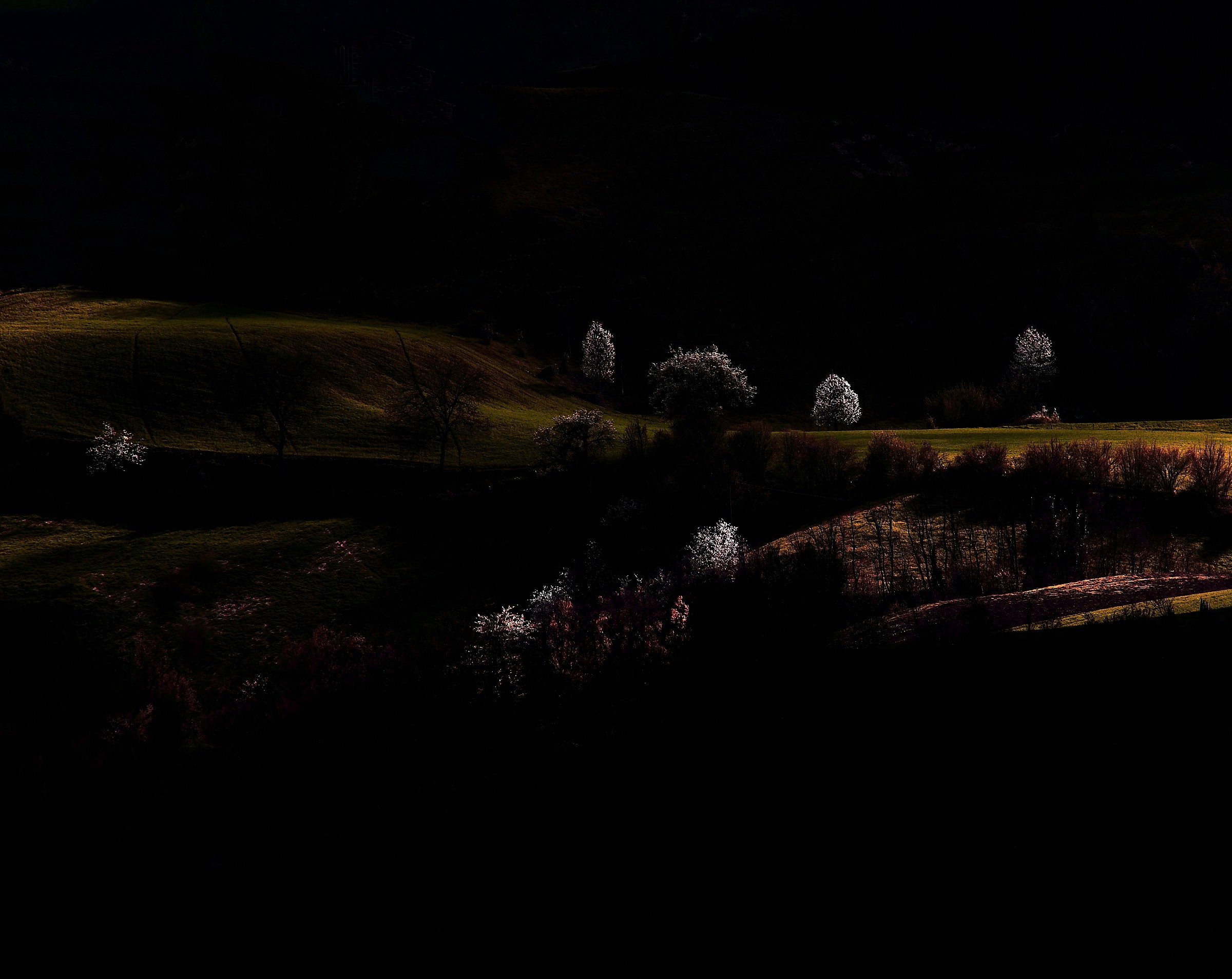 Campagna di Brugnello