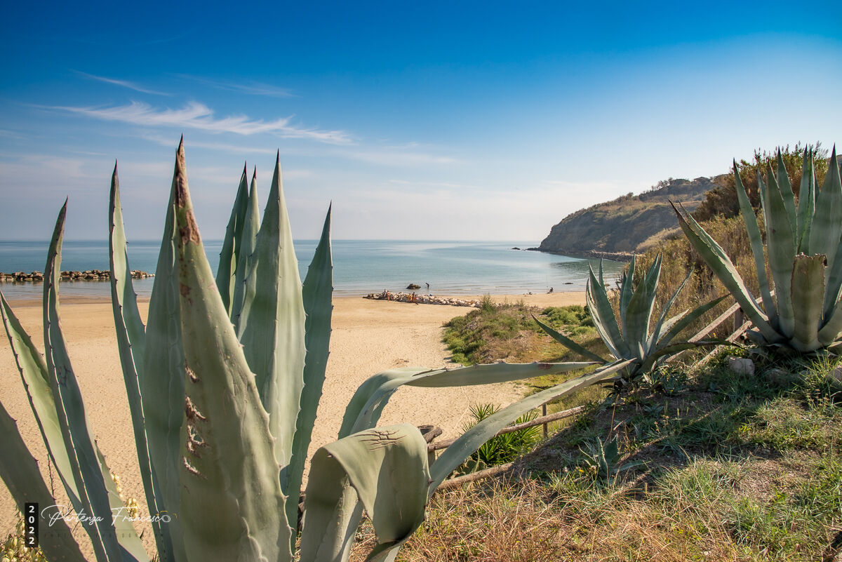 Abruzzo Coast