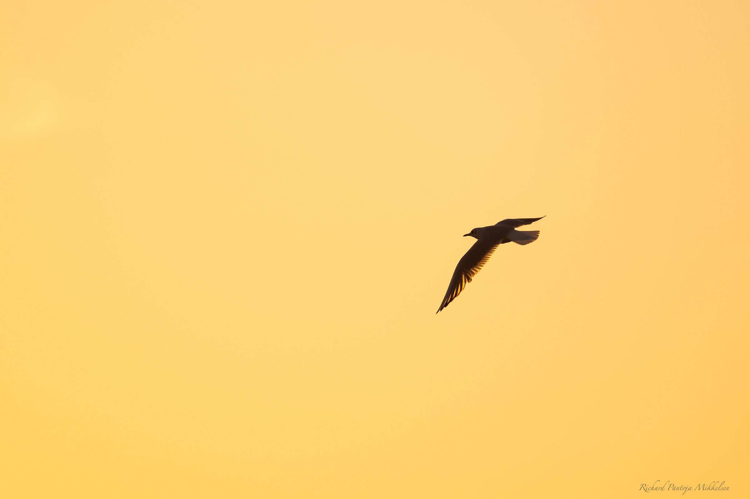 When the sun goes down