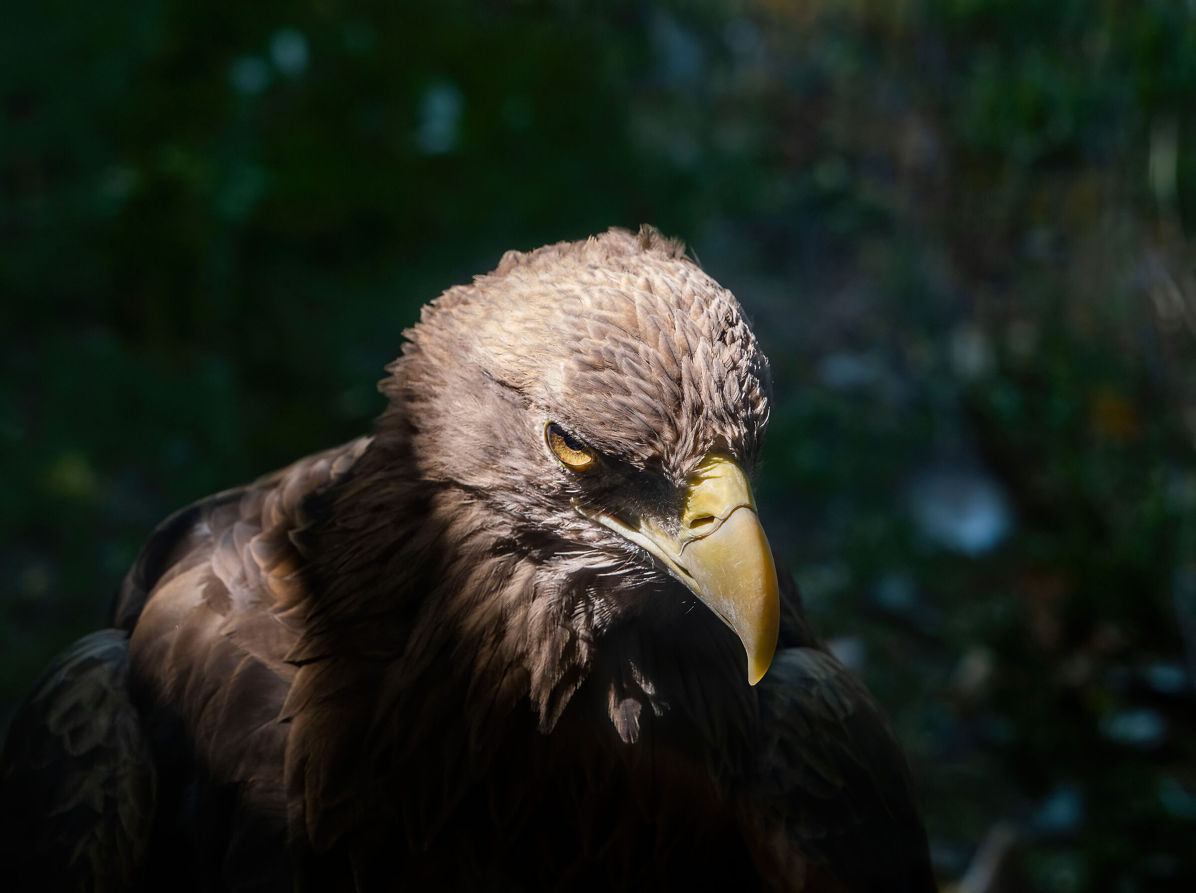 un altro scatto e sei morto