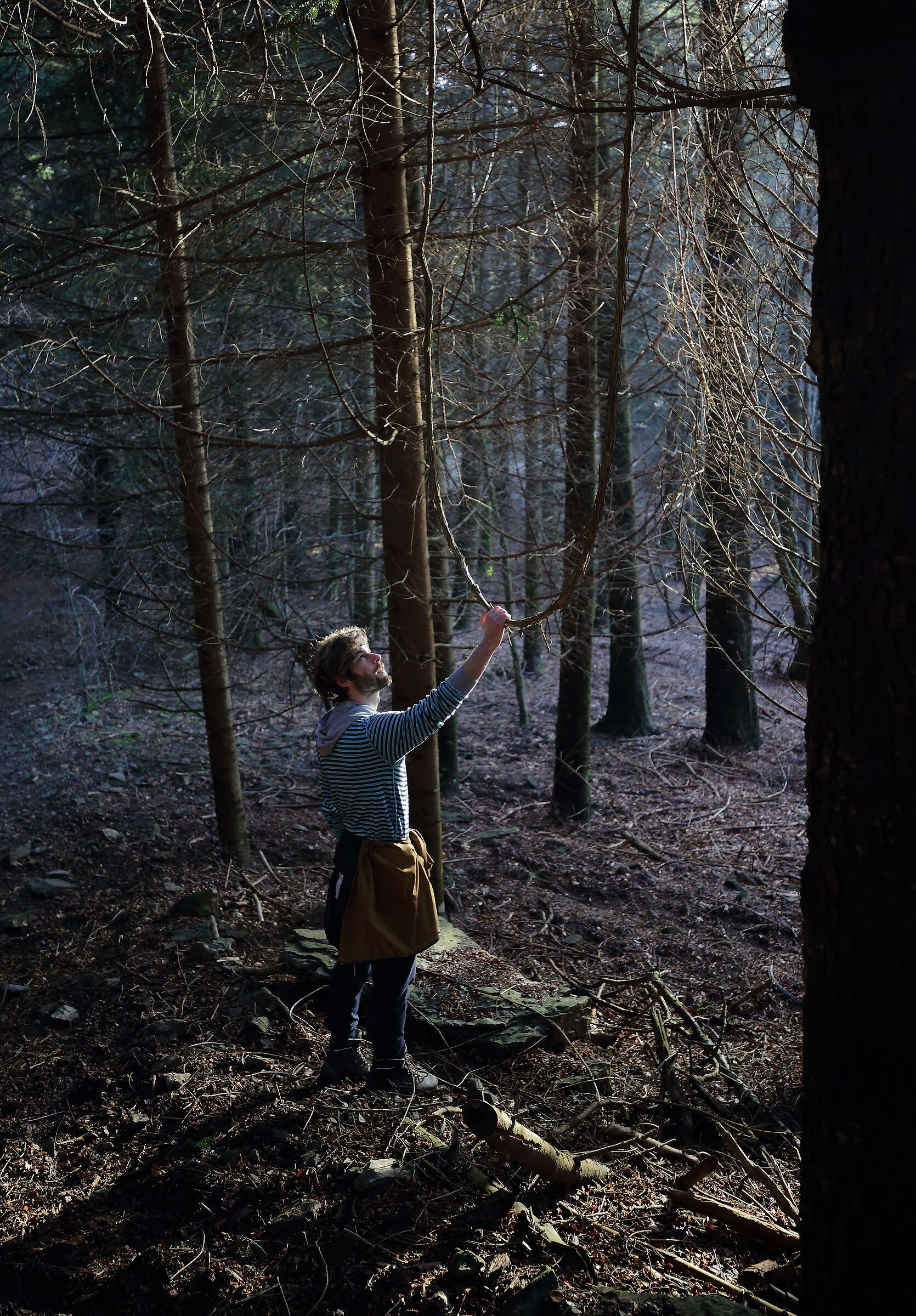 Ma come fa Tarzan?!?!