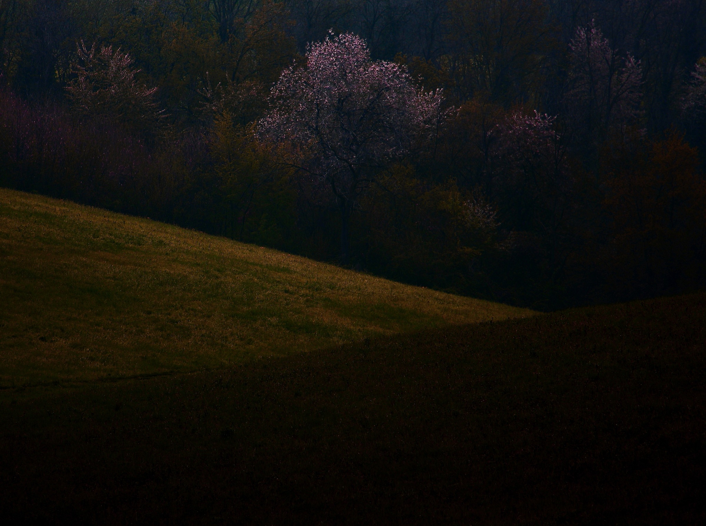 Campagna di Brugnello 2