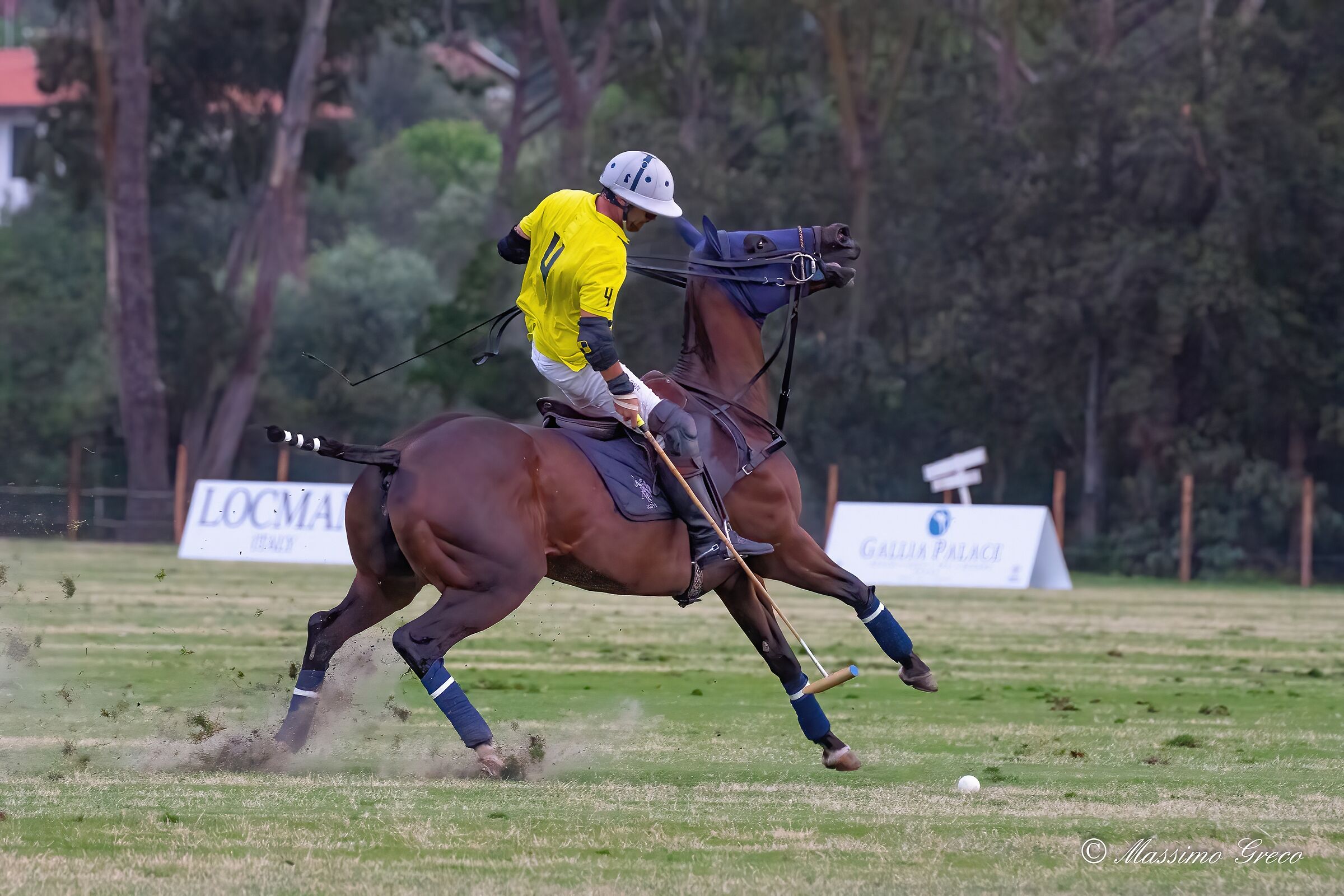 The Polo Player