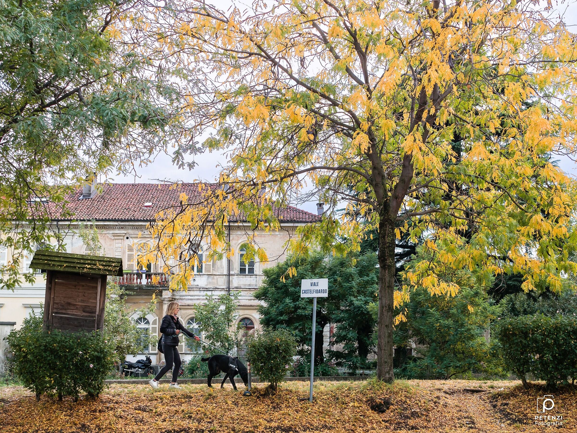 L'Autunno è la Primavera dell'Inverno