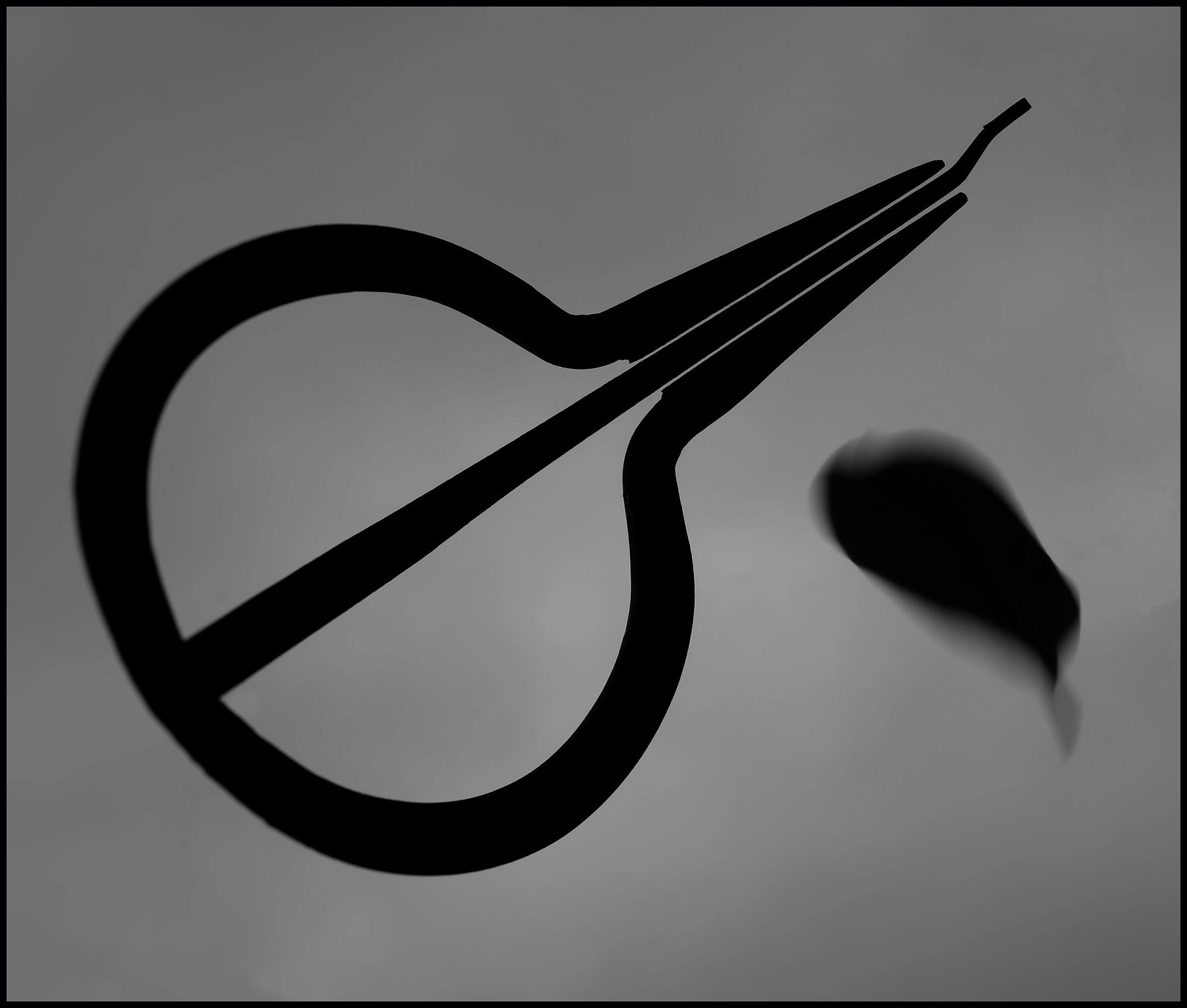 Lo Scacciapensieri e la Foglia che cade