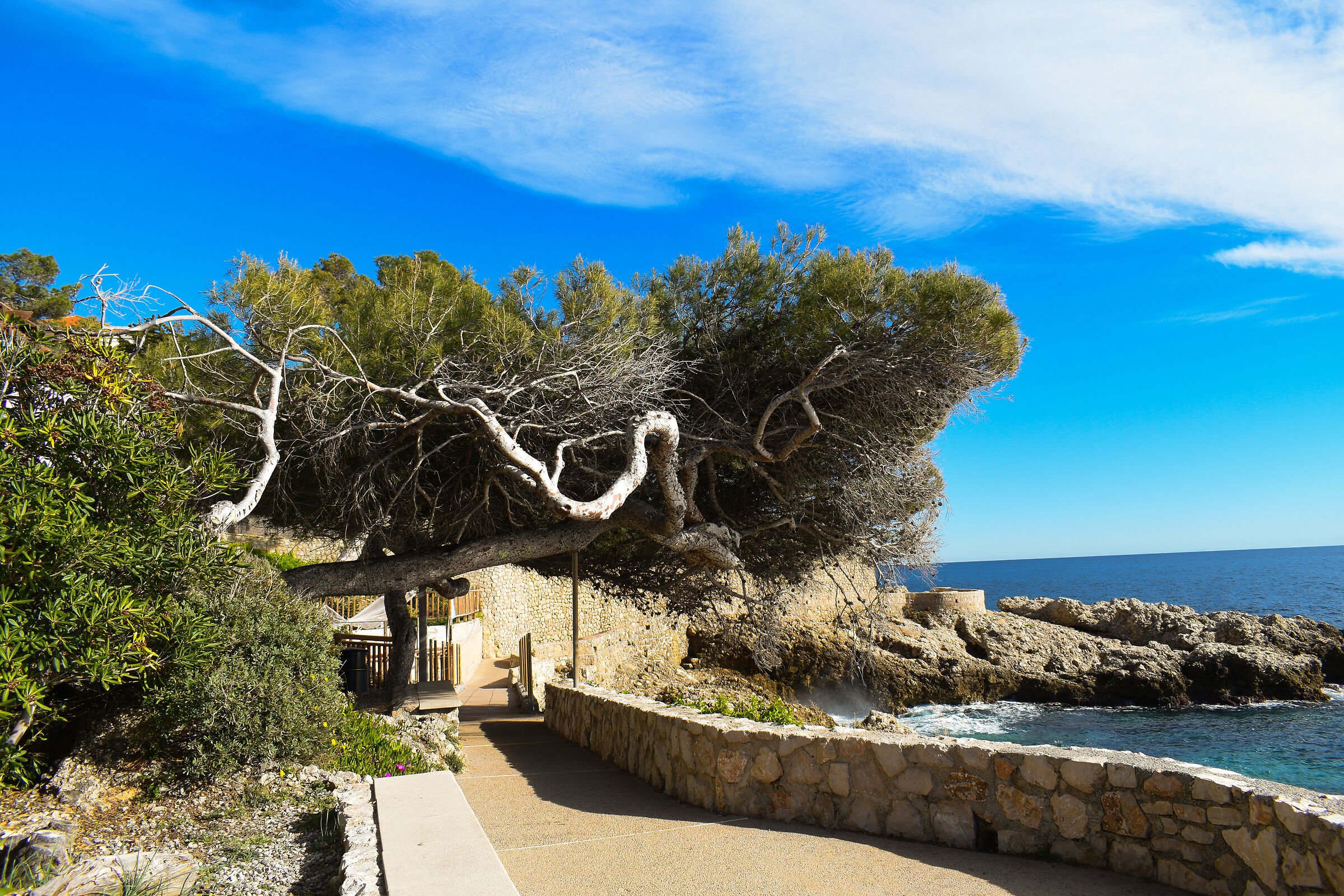 Non solo c'è pane storto