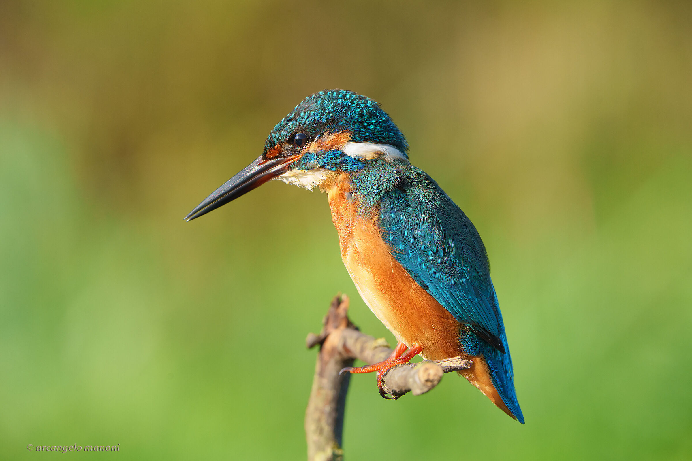 New station for the fisherman