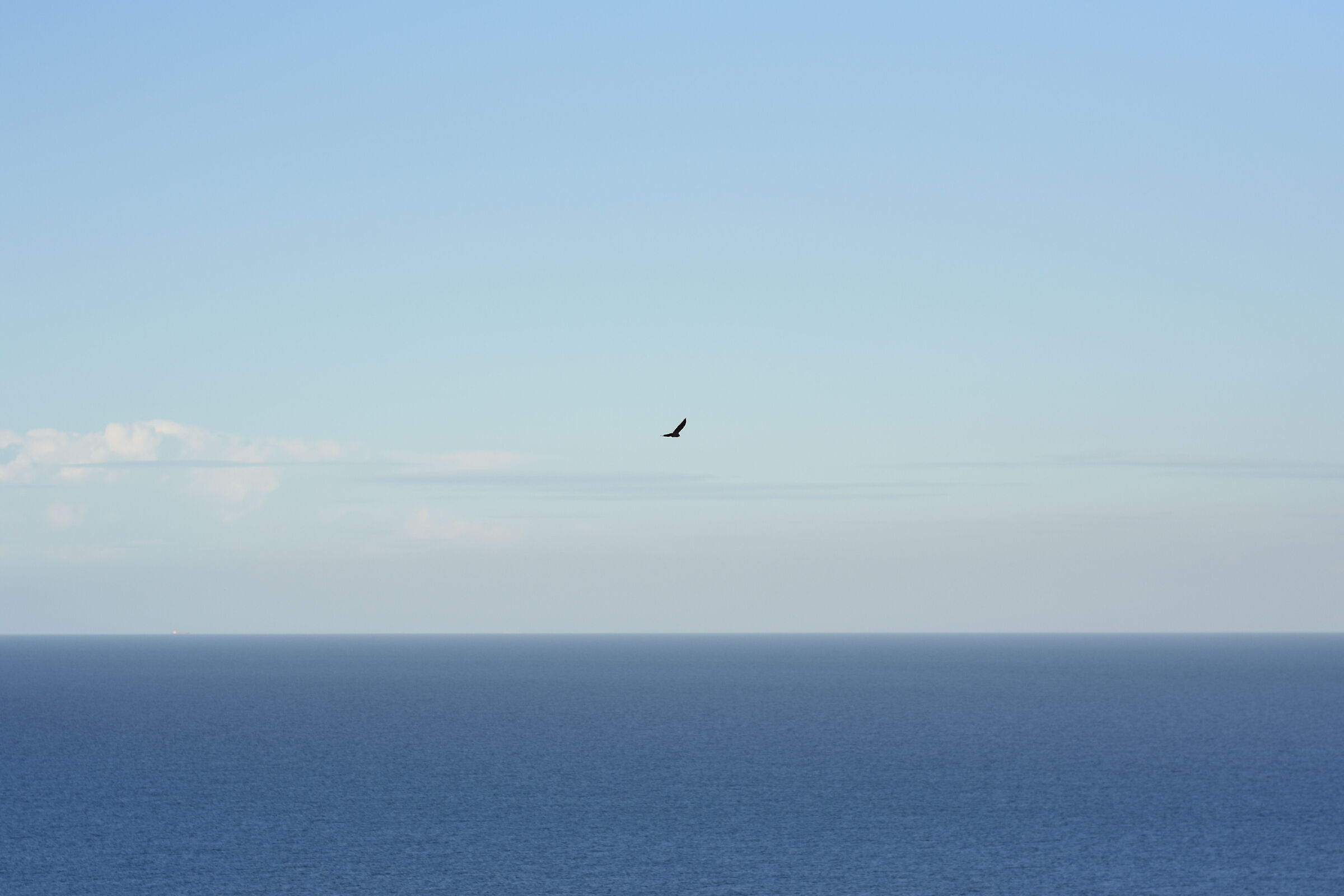 " F. 2.4 " , 1/ 8.0 0 0, ISO 250- Sigma 85, 1.4 Ar...