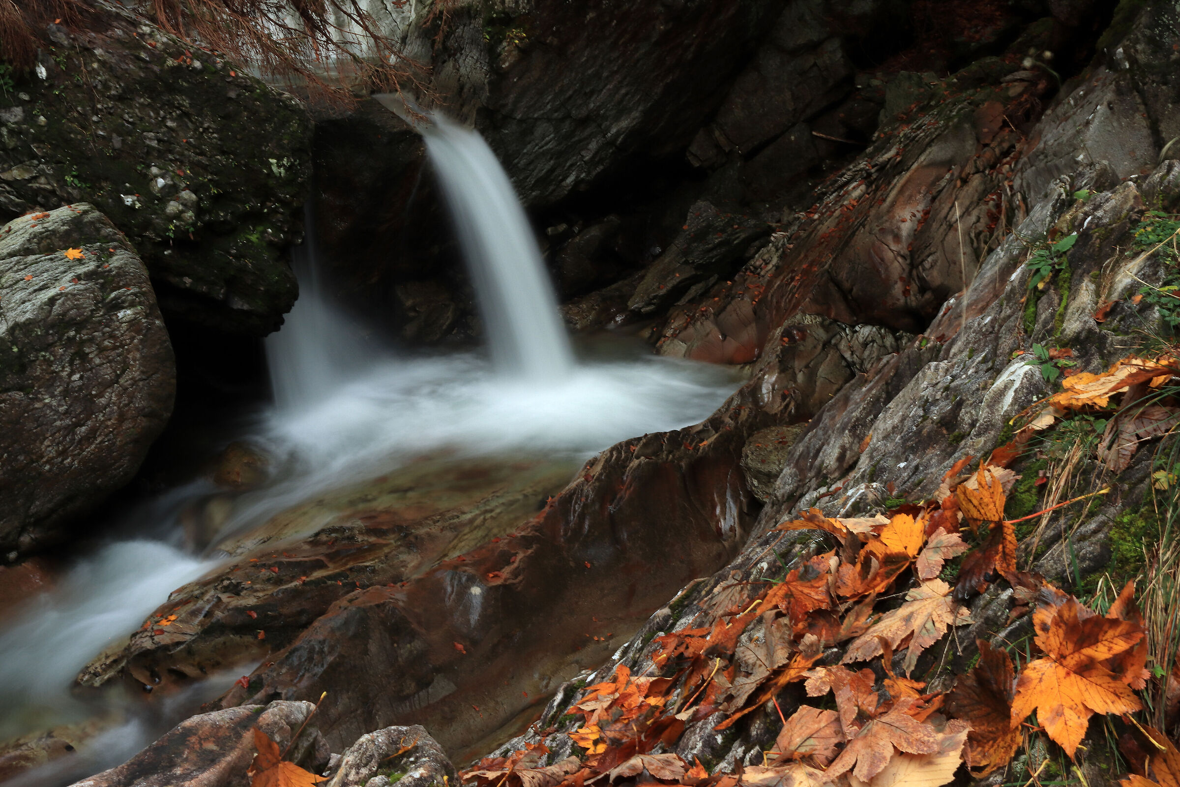 VALSANGUIGNO- autumn 22