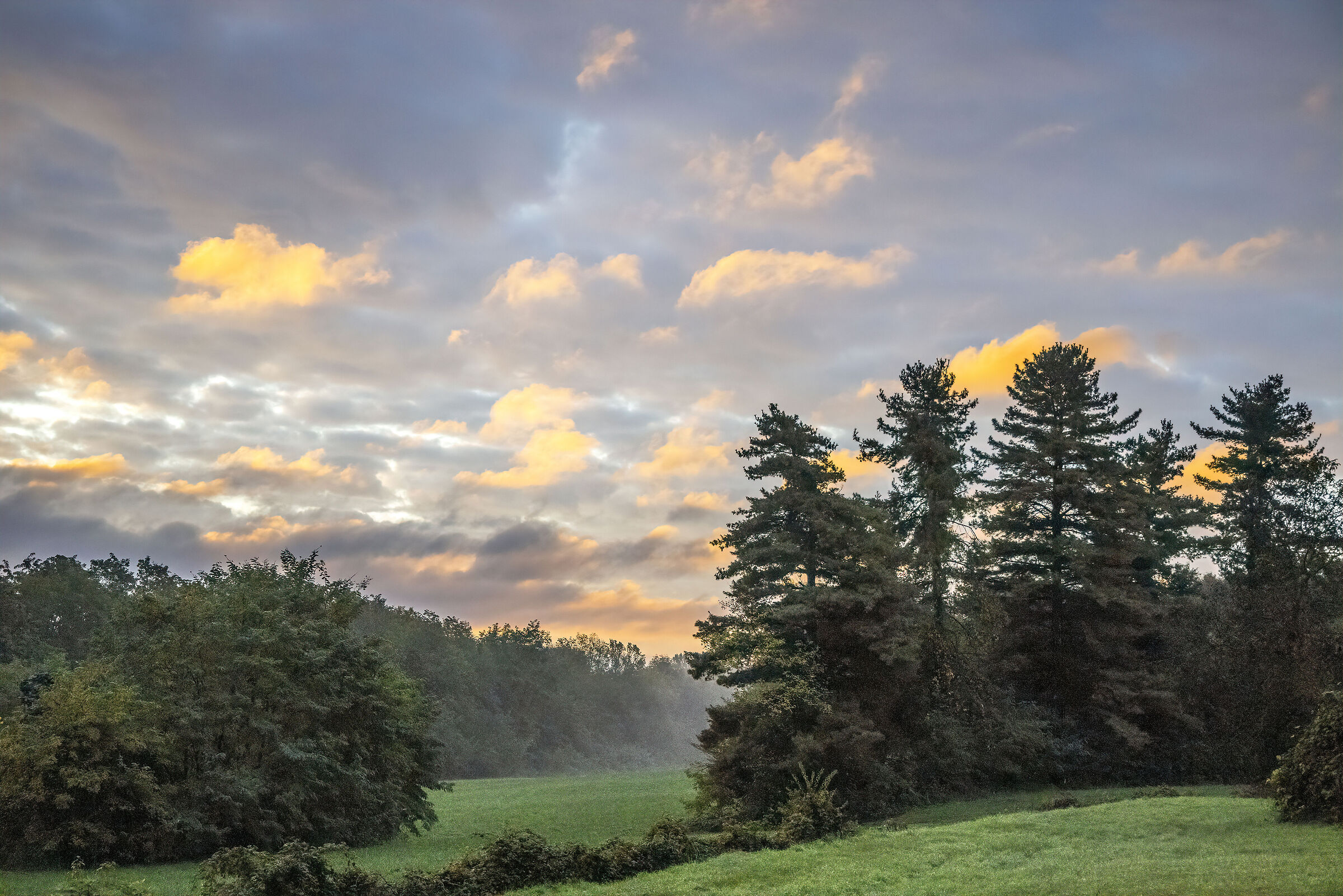 Albeggia on the woods in Paruzzaro