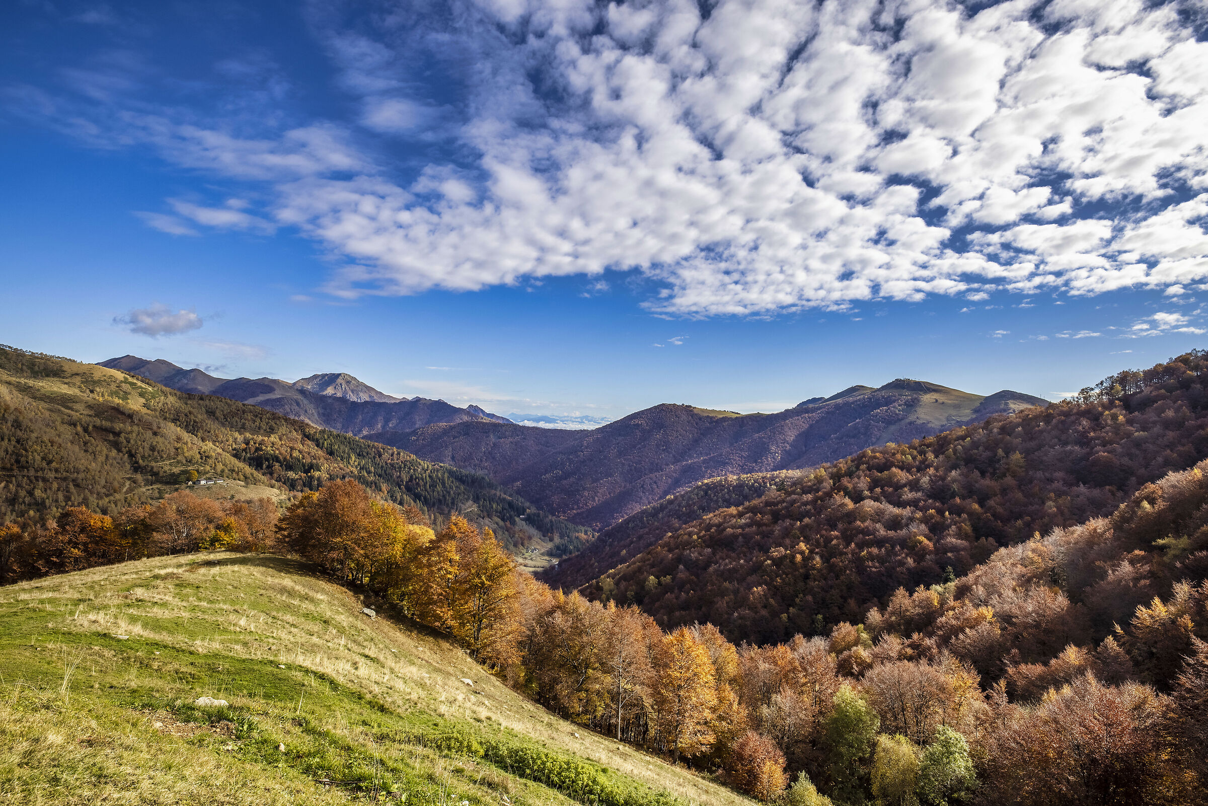 Autumn at Oasi Zegna