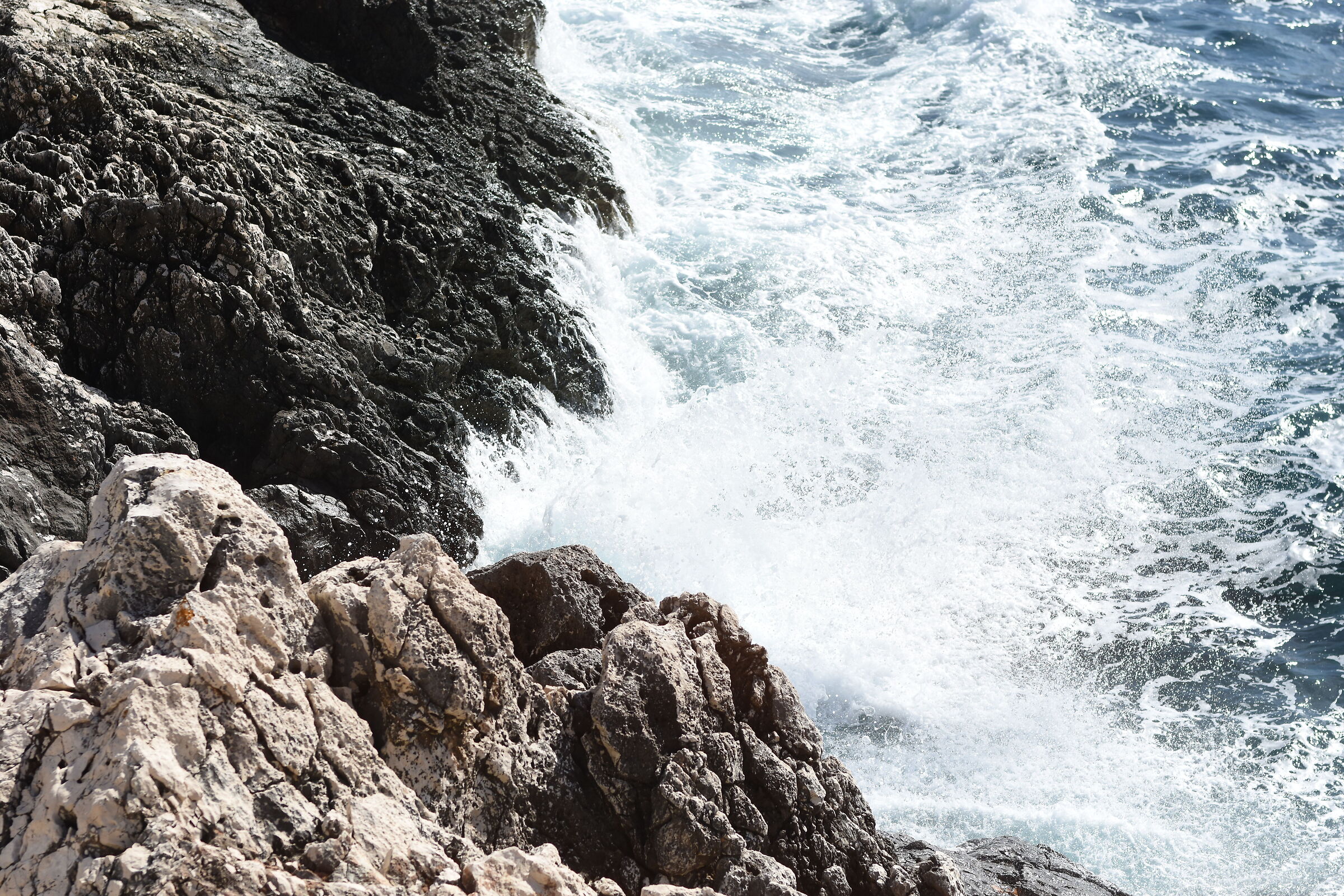 " F. 2.8 " , 1/ 8.0 0 0, ISO 250- Sigma 85, 1.4 Ar...