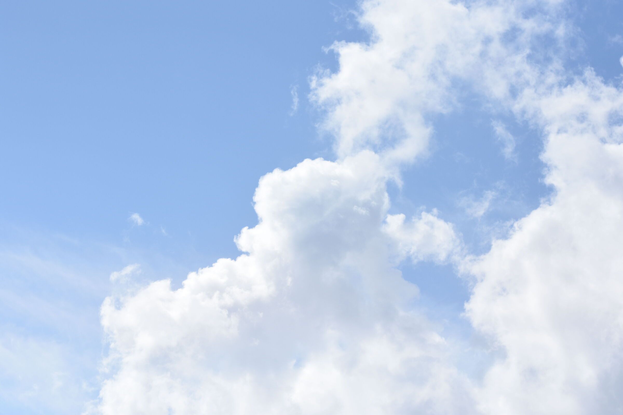 " F. 3.3 " , 1/ 8.0 0 0, ISO 250- Sigma 85, 1.4 Ar...