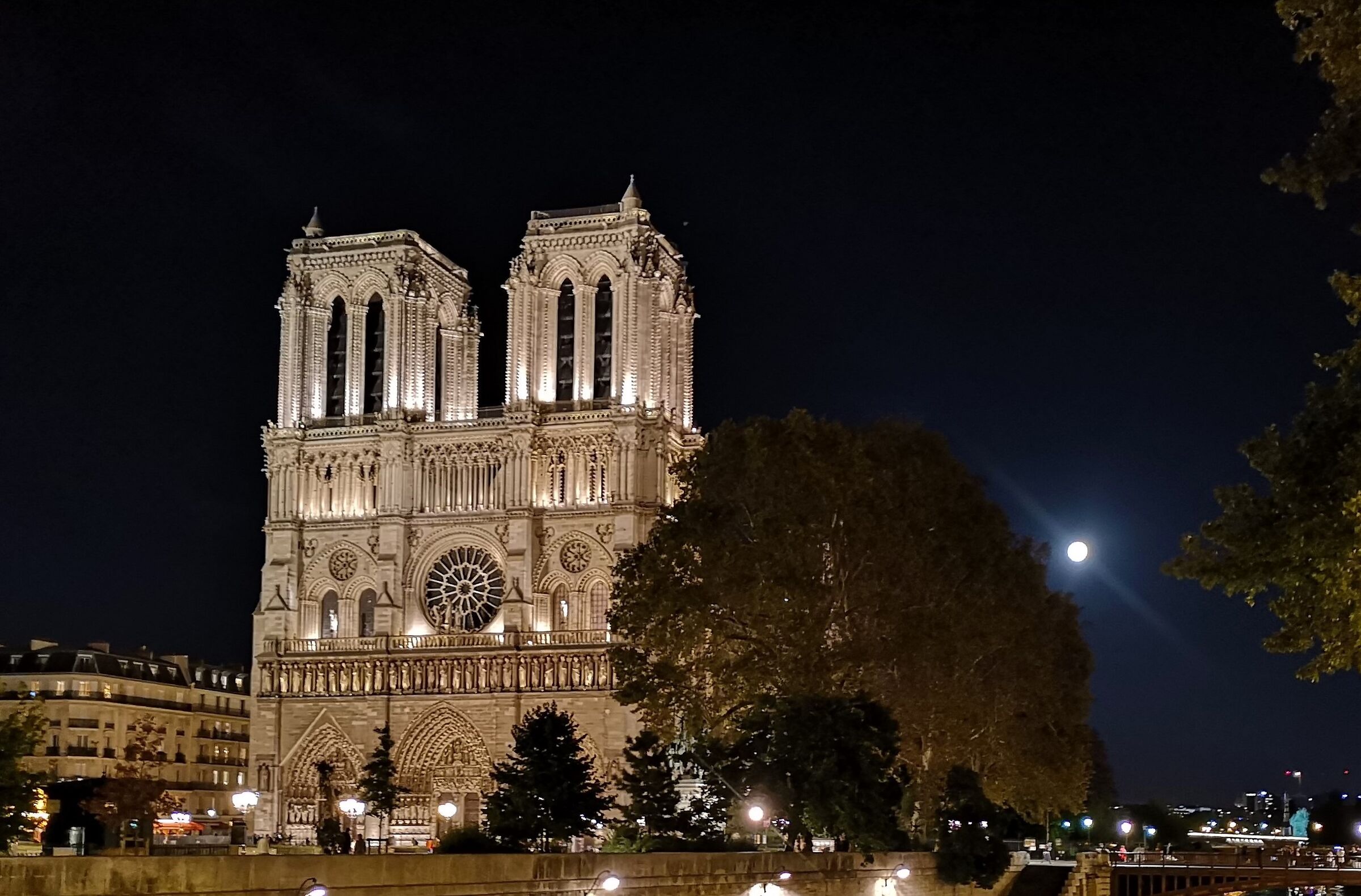 Notre Dame ( PARIS )