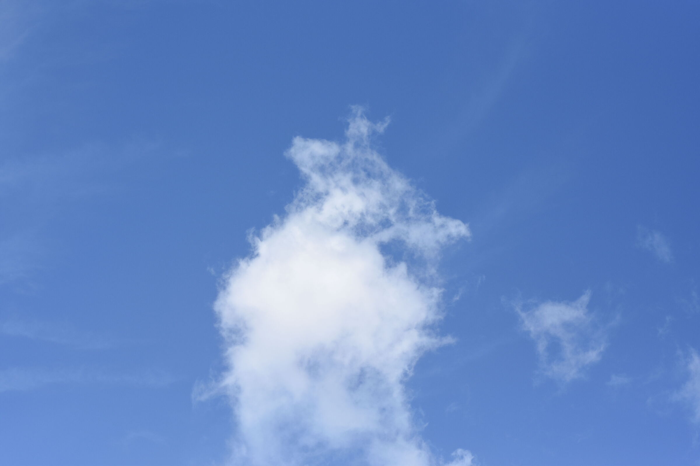 " F. 2.8 " , 1/ 8.0 0 0 , ISO 250- Sigma 85, 1.4 A...