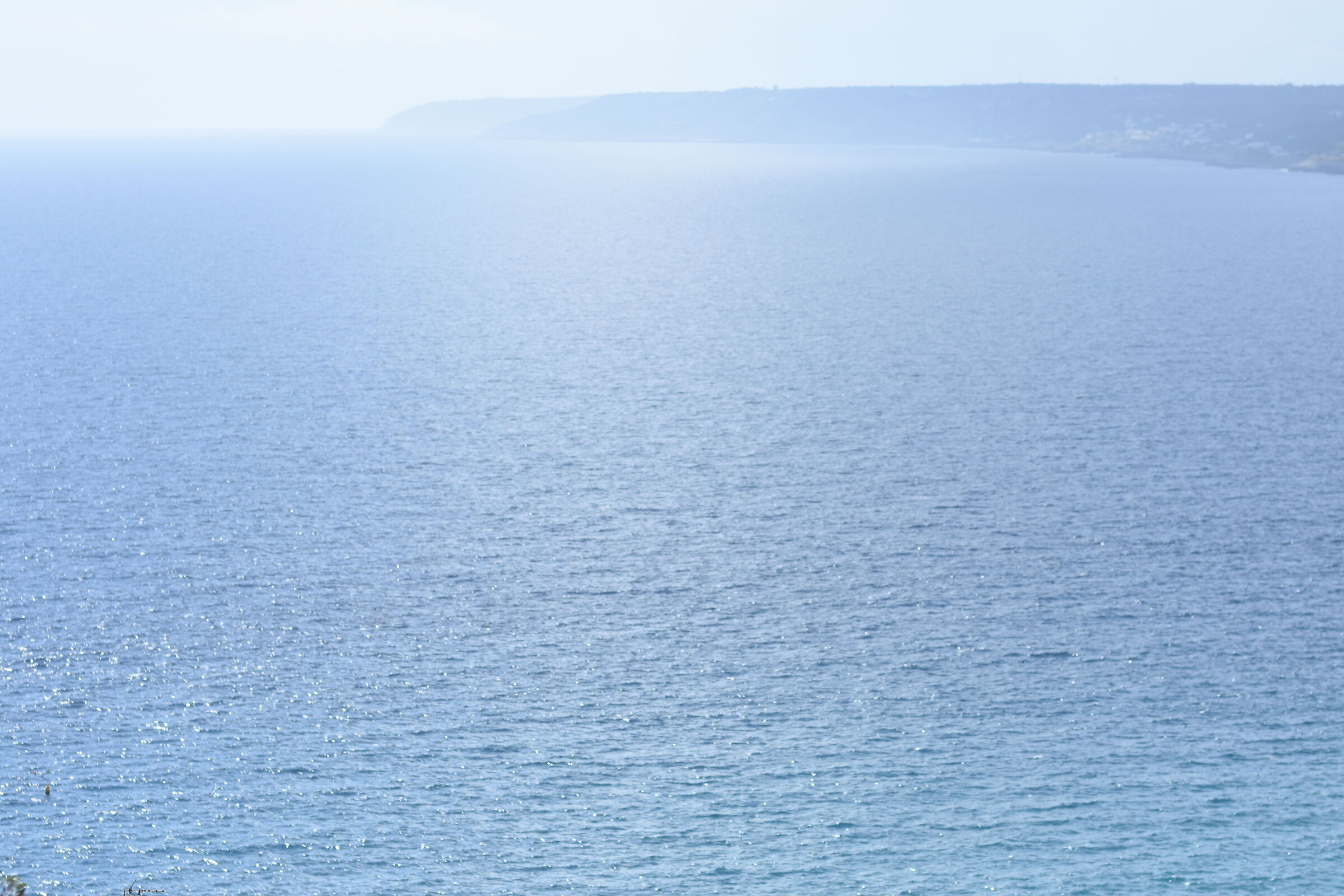 " F. 2.4 " , 1/ 8.0 0 0, ISO 250- Sigma 85, 1.4 Ar...