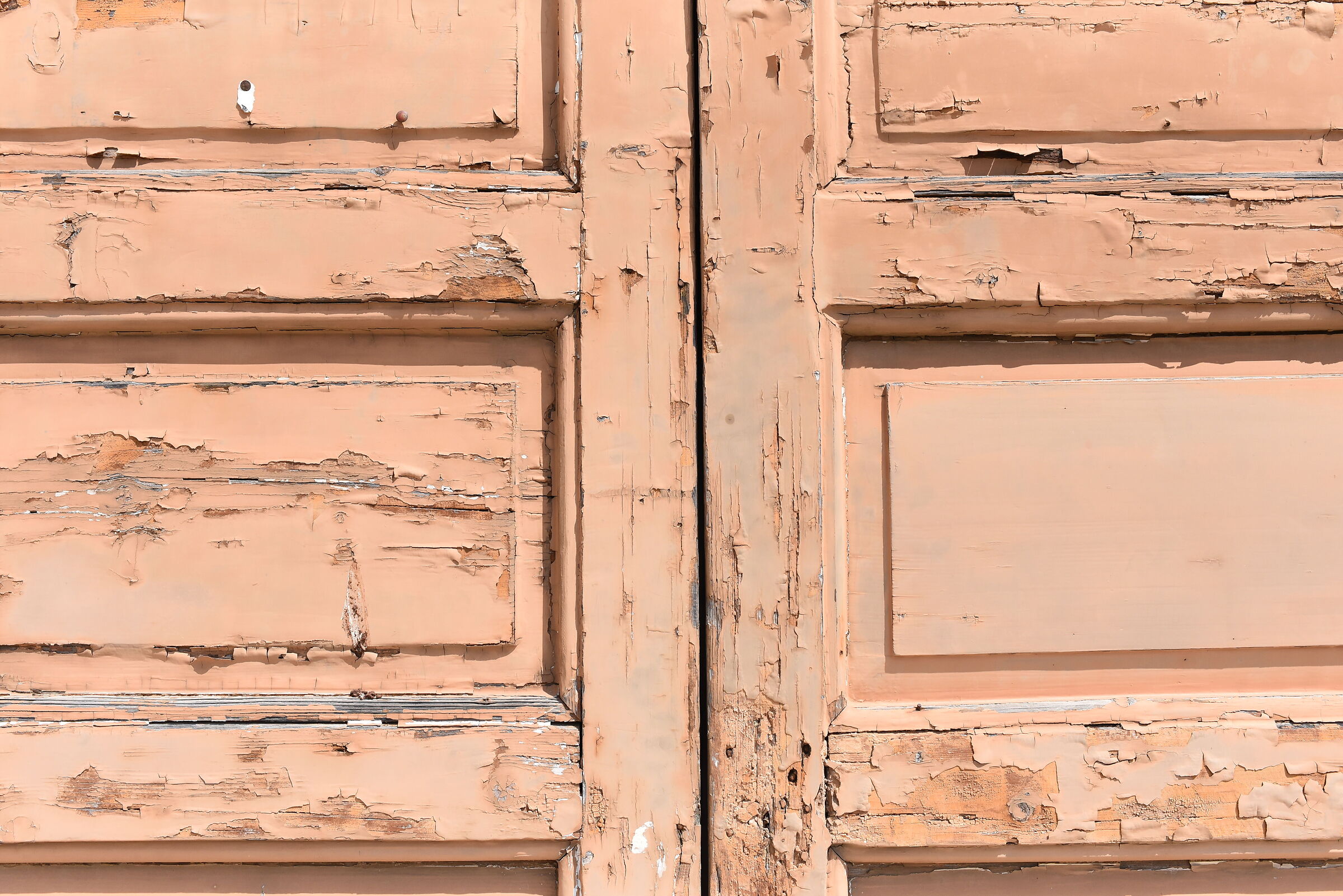 " 1/4.0 0 0 " , F. 6.7, ISO 1.0 0 0- Nikon 28, 1.4 E ED