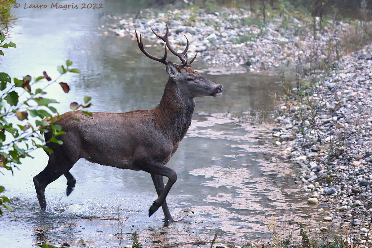 Passaggio nell'acqua