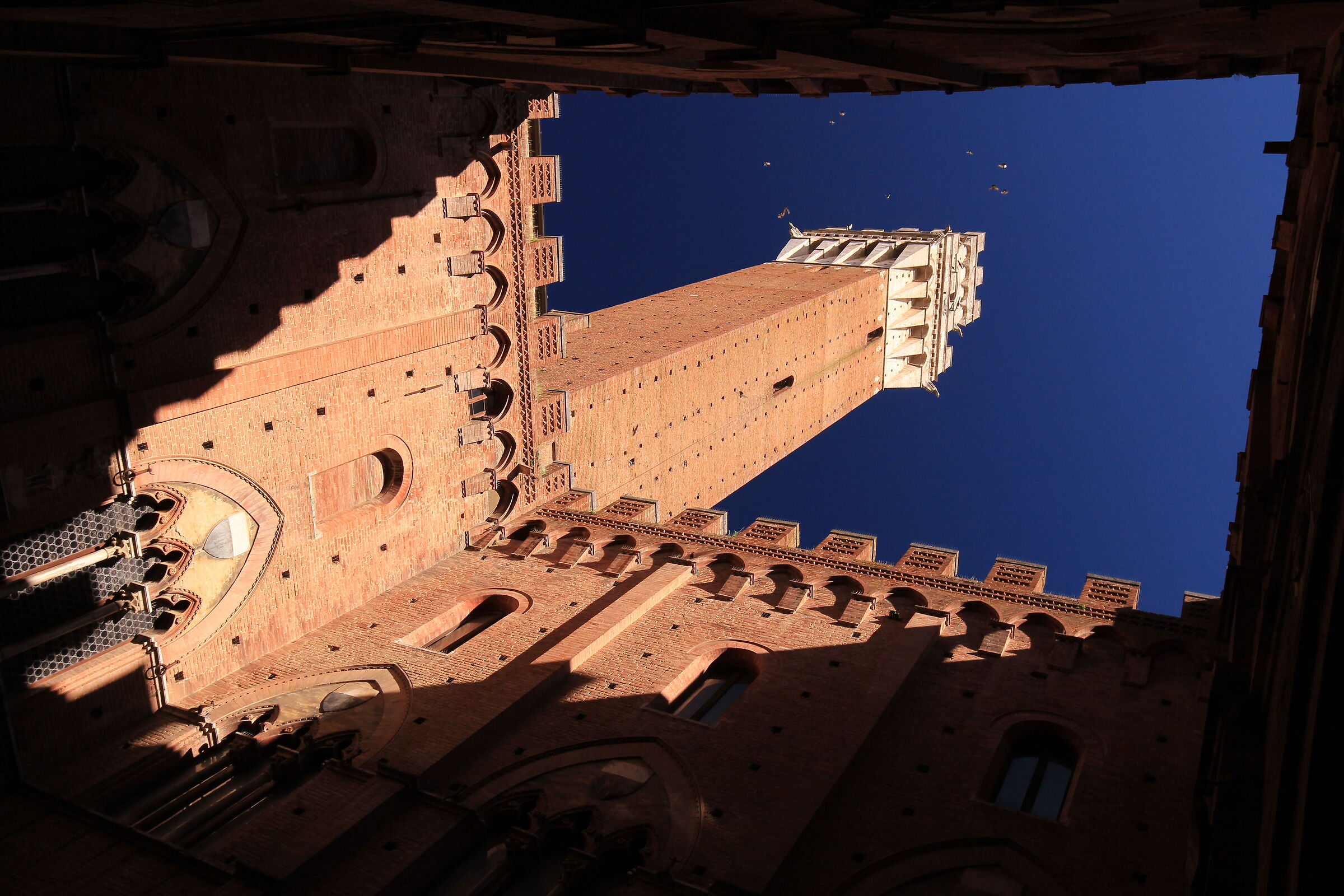 The Mangia tower