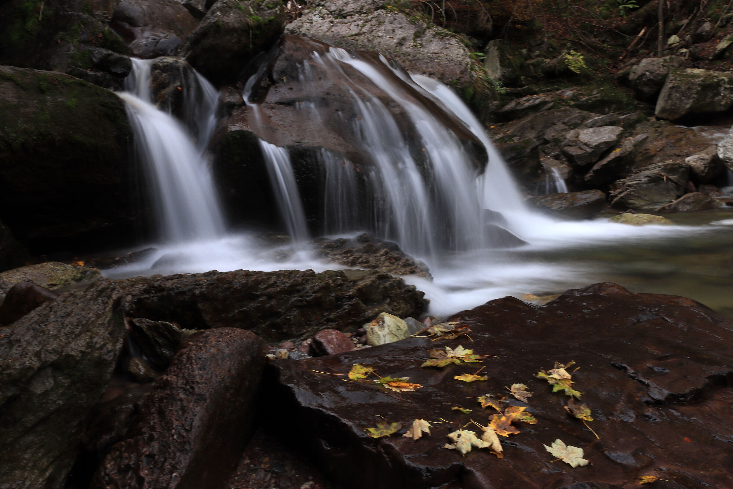 Valsanguigno - the first autumn leaves